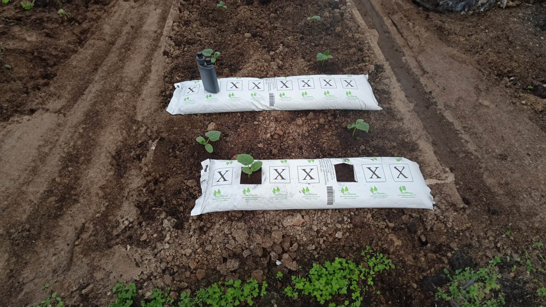 БИОЭНЕРГИЯ — Производство субстрата для теплиц, маты для выращивания