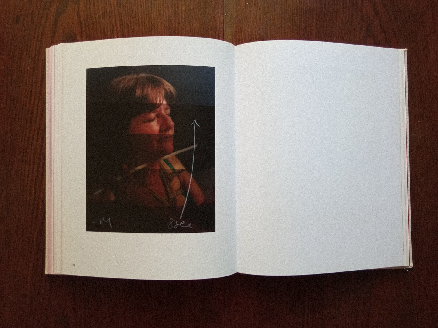 Книга «A perfect sentence» Оливера Чанарина. Private image