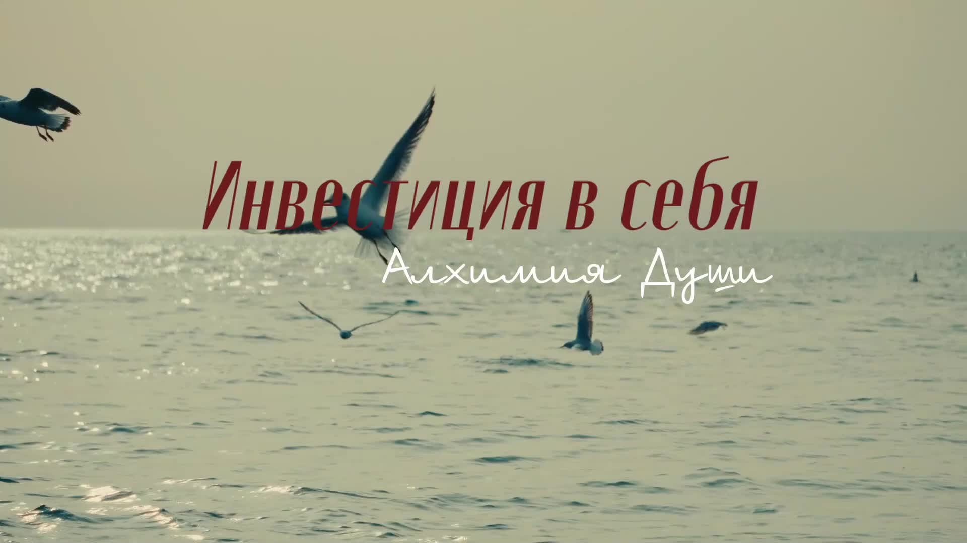 Игровое кино и интервью. Первая Киностудия