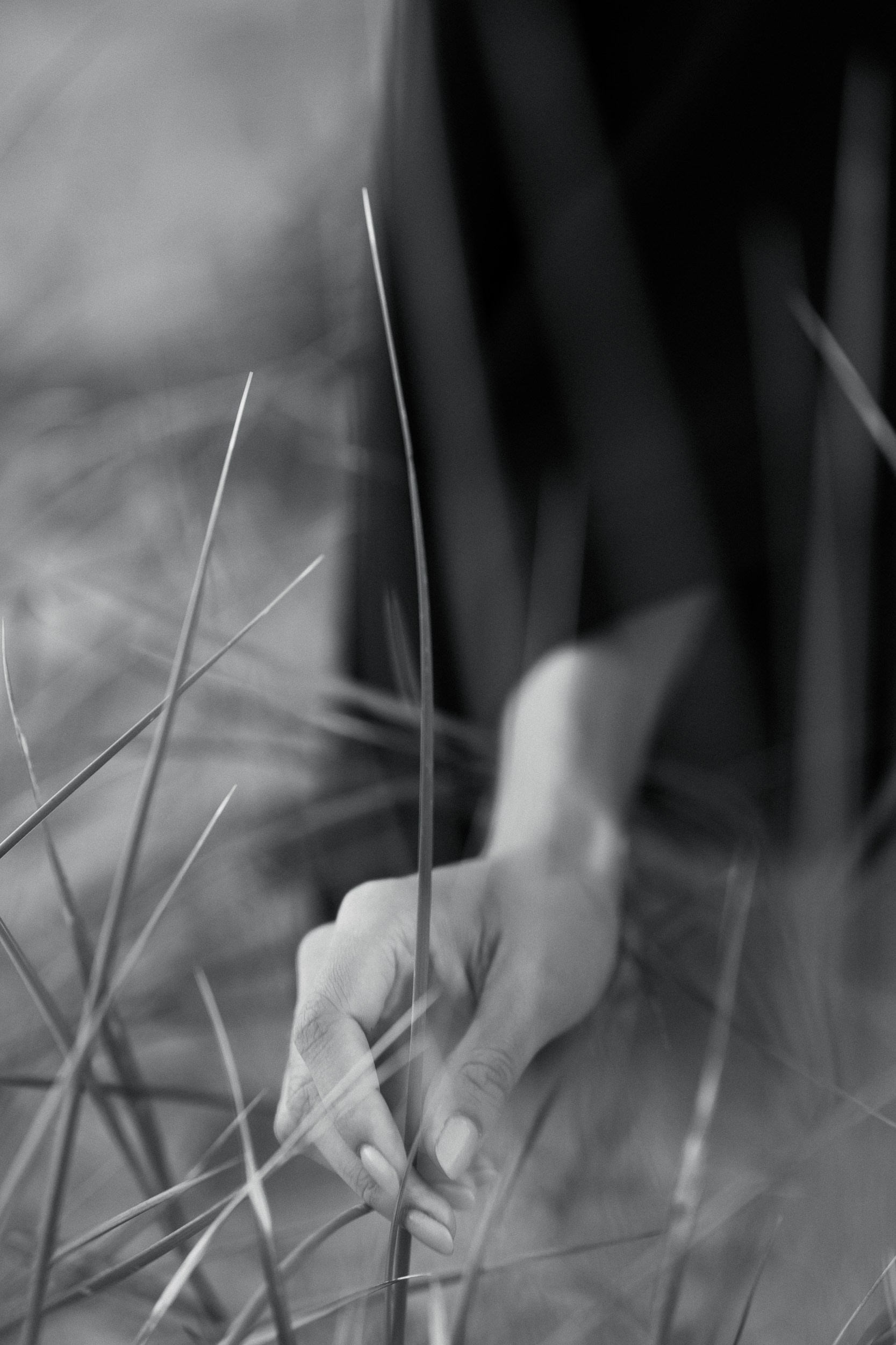 Дмитрий Жариков фотограф в Калининграде