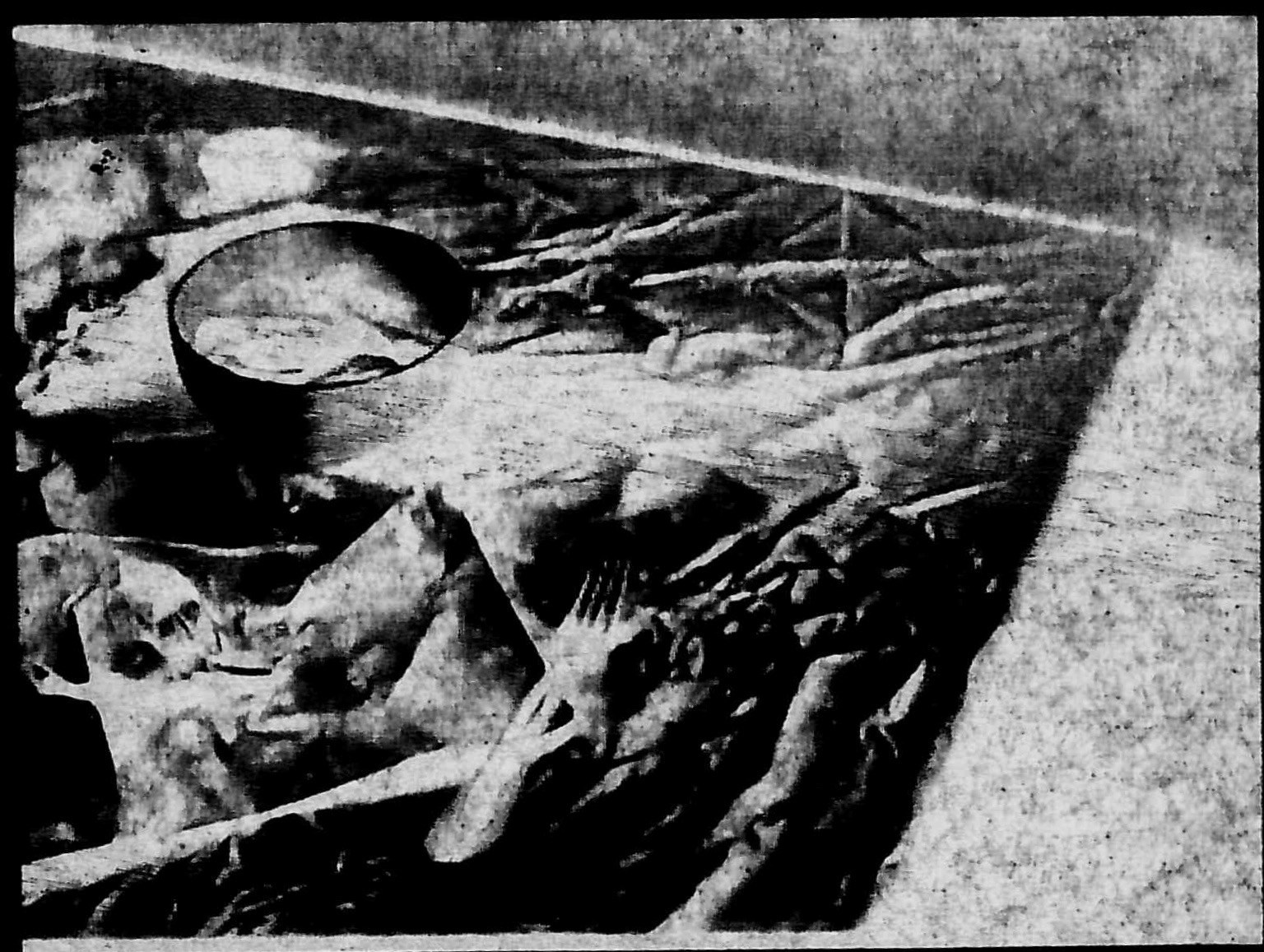 Отраженный свет. Катерина Эделева