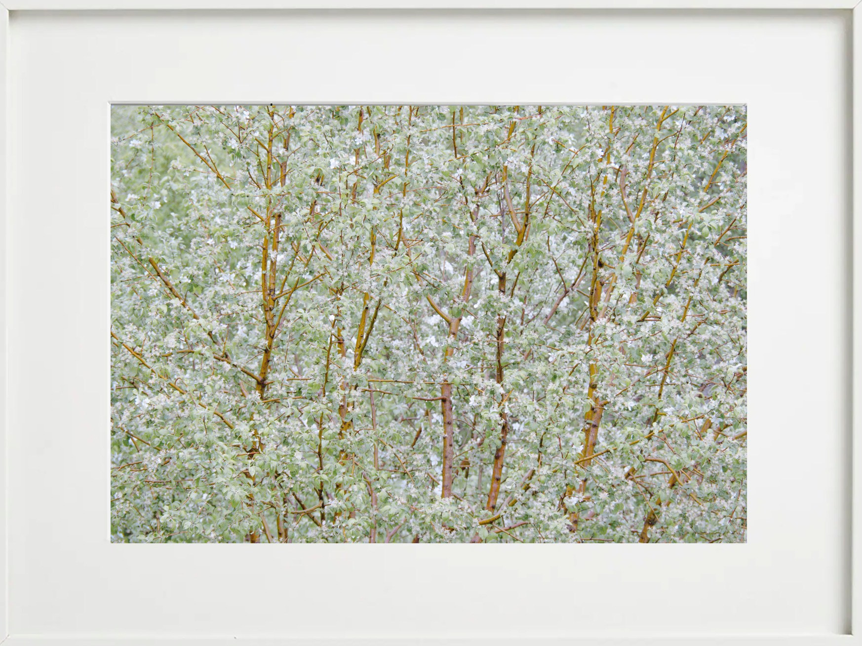 Пейзажи. Фотограф Дарья Морозова