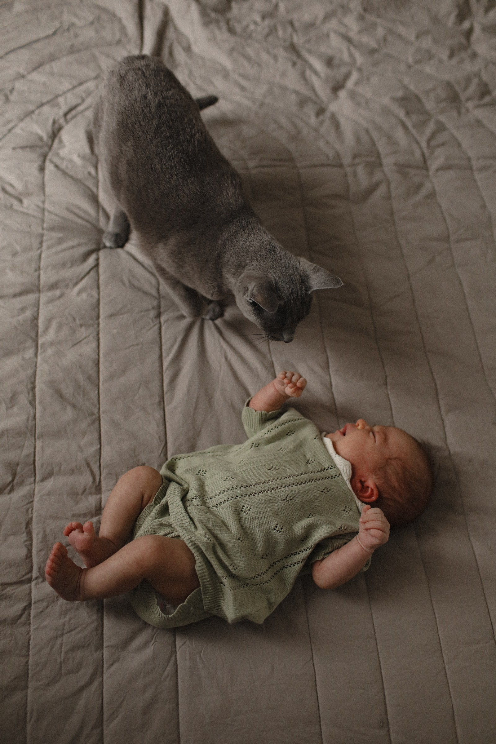 Семейный фотограф в Москве Алевтина Носова