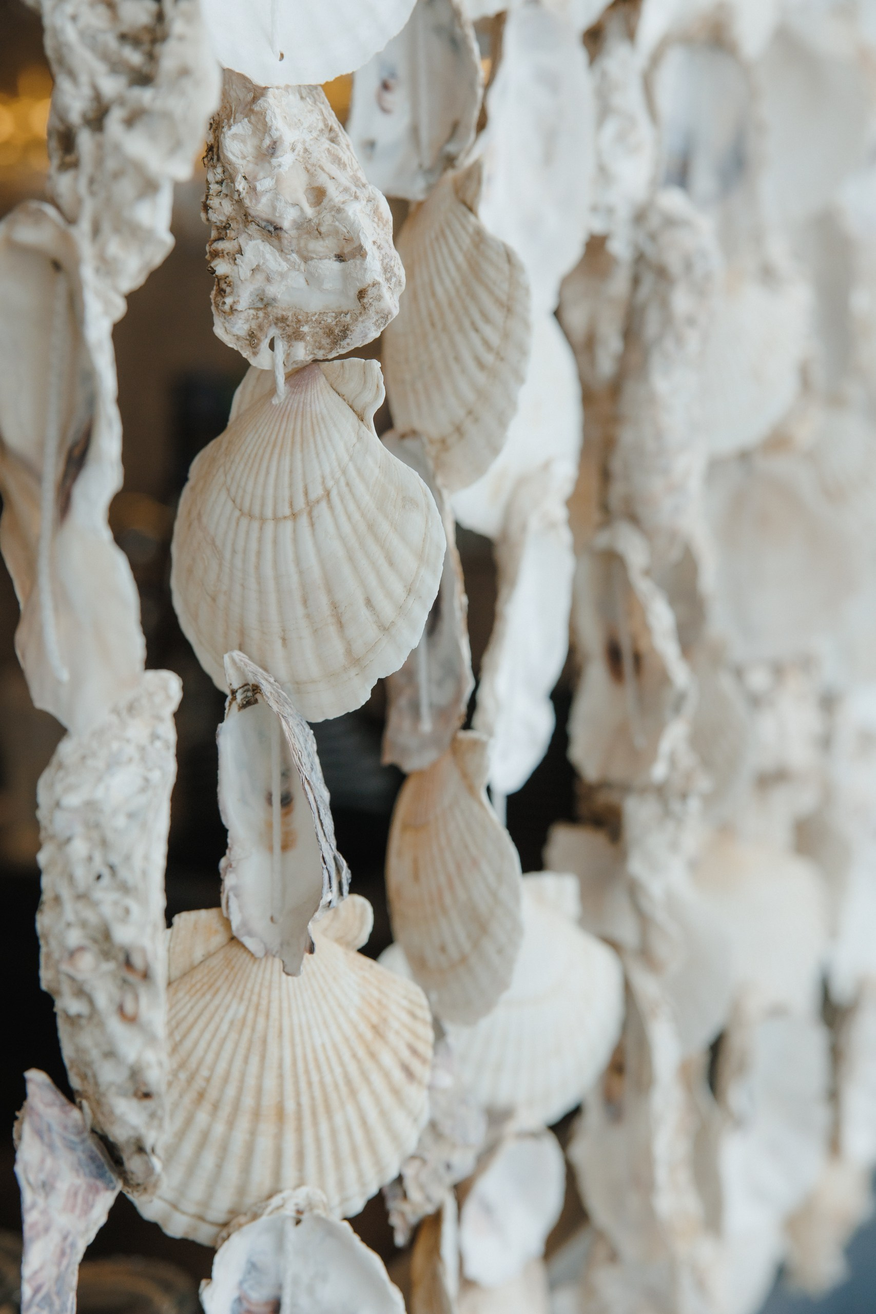 Портретный фотограф для контент съёмки в Новой Москве. Фотограф Москва. Портретный фотограф Александра Харитонова Москва Новая Москва Троицк