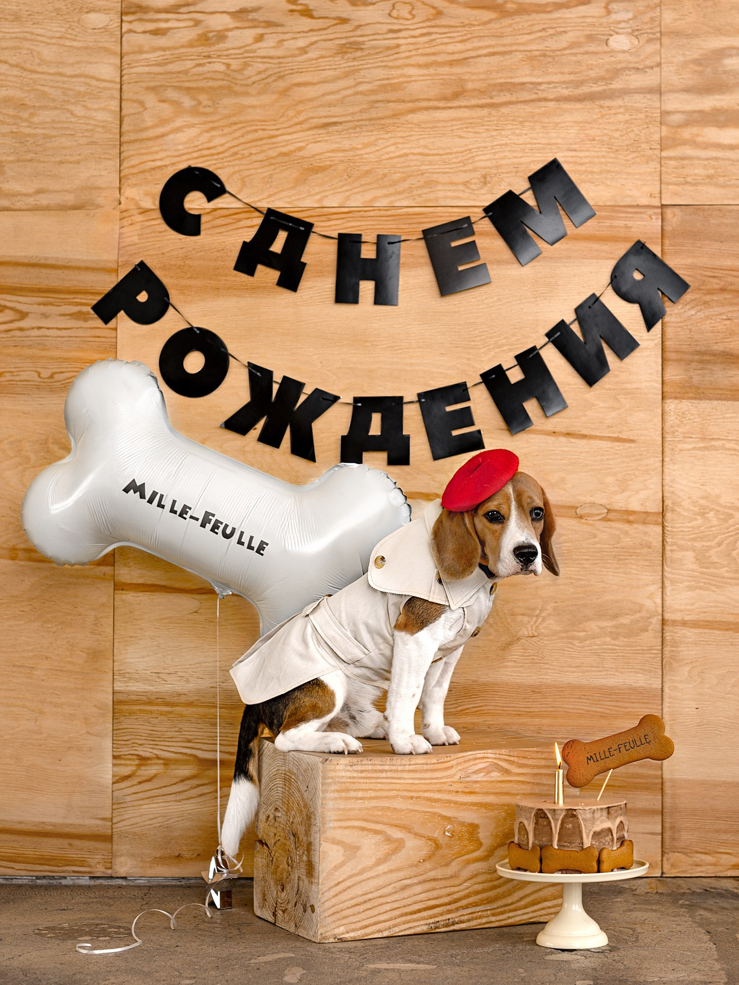 Фотосъемка питомца. Фотограф детских праздников в Новосибирске Ольга Франк