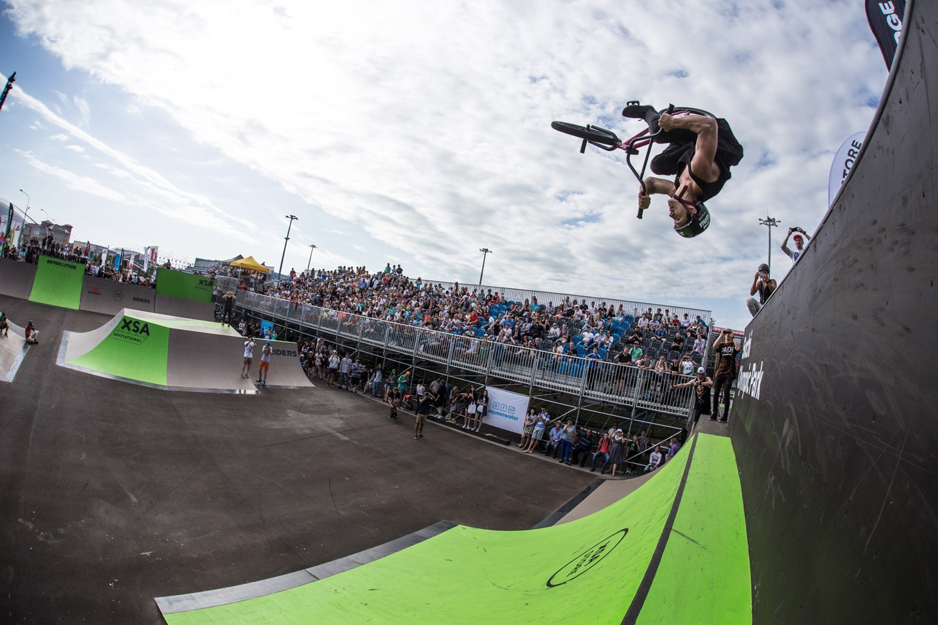 Random photo roulette. Bivol images