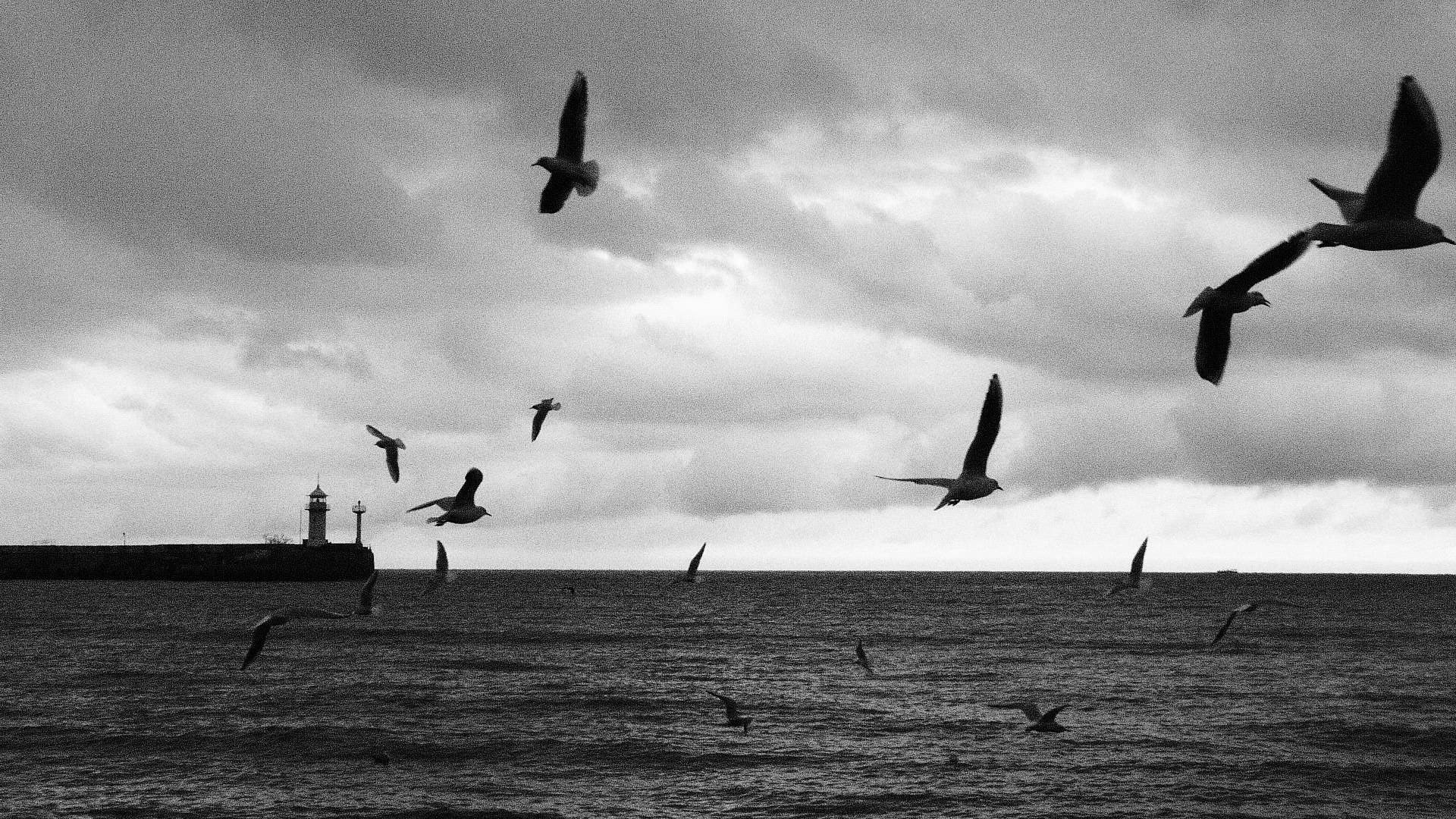 Калининград «ОЧЕРТАНИЕ РЕАЛЬНОСТИ». ARTEXPOPHOTO