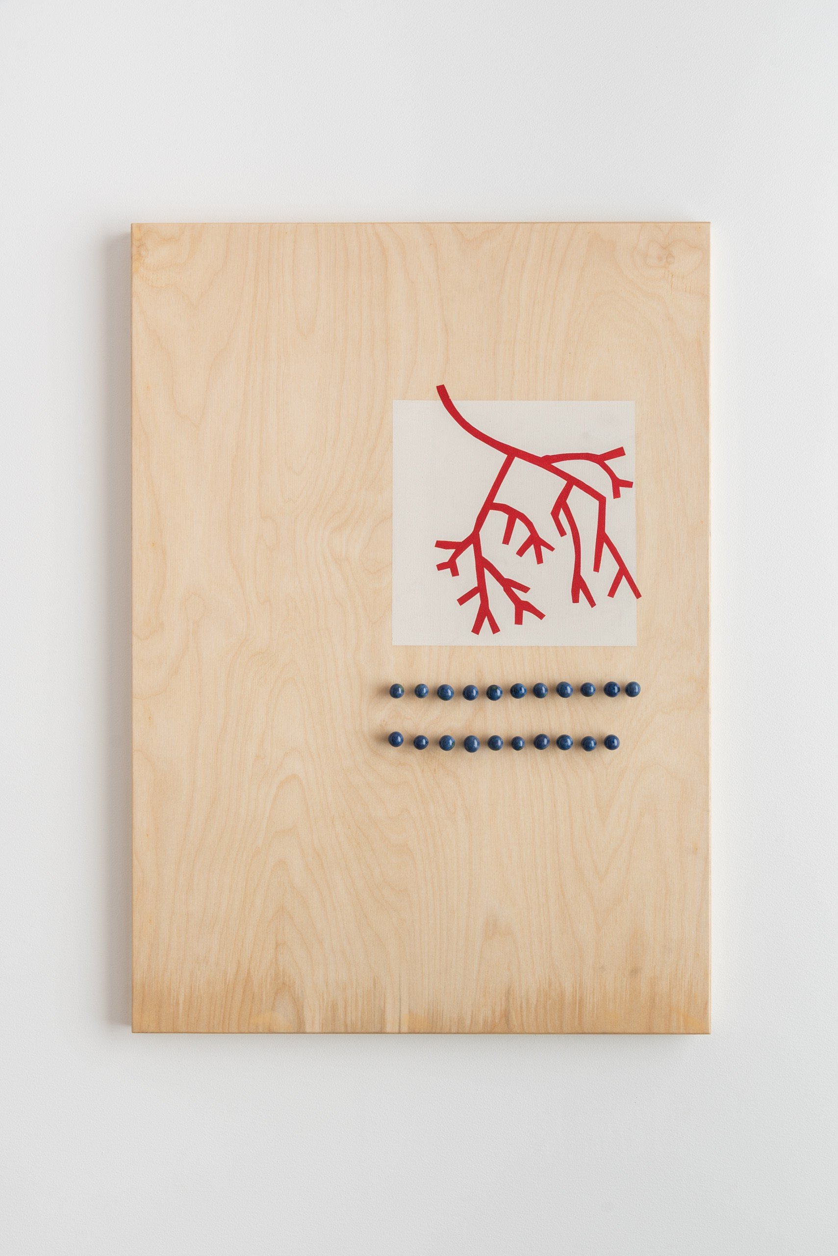 Серия интерактивных объектов ТО — НЕ ТО. Художник Ольга Папшева ЛИТПРИНТ / LITPRINT Саратов