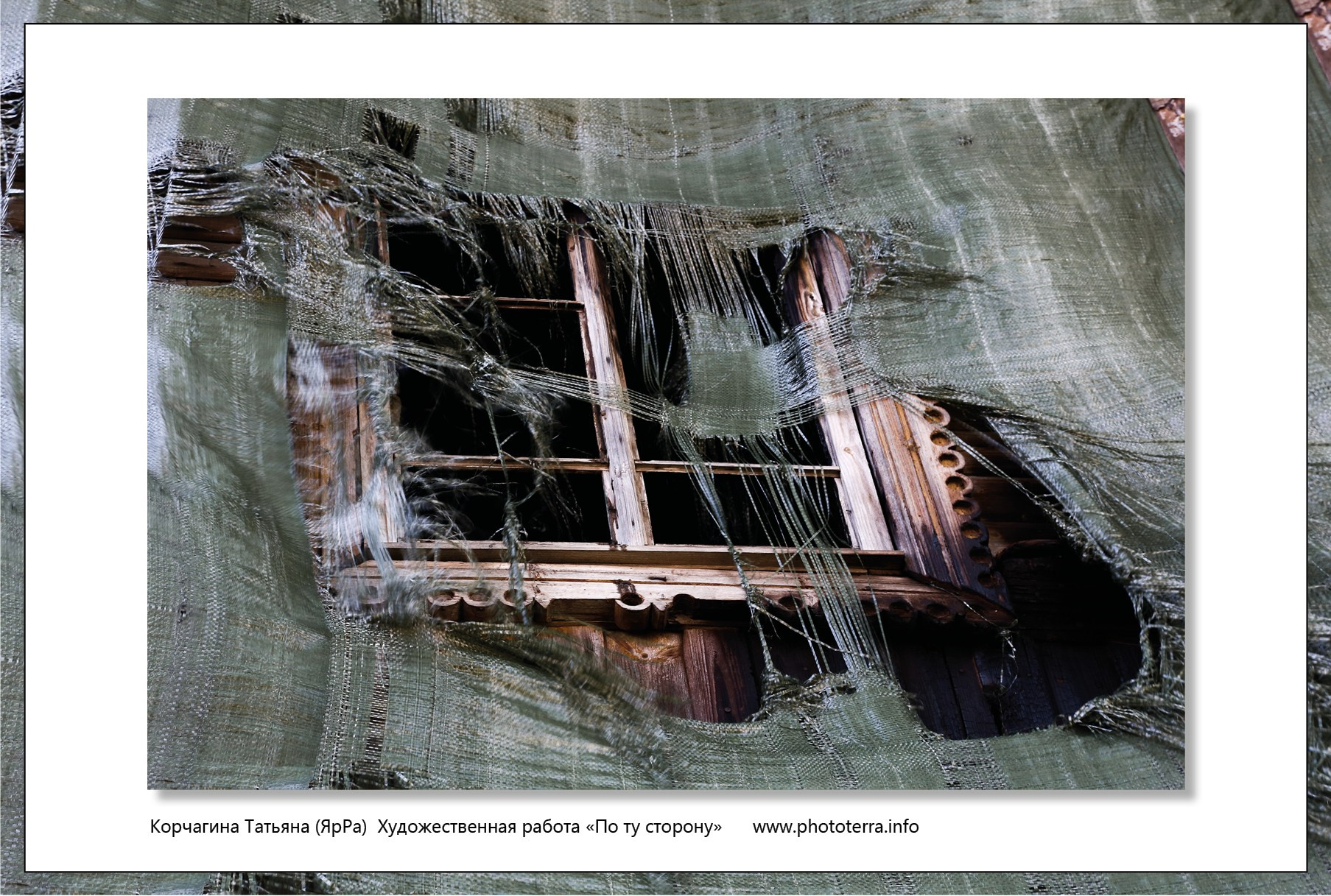 Арт & поэзия. Татьяна Корчагина. Фотограф, художник. Обучение фотографии