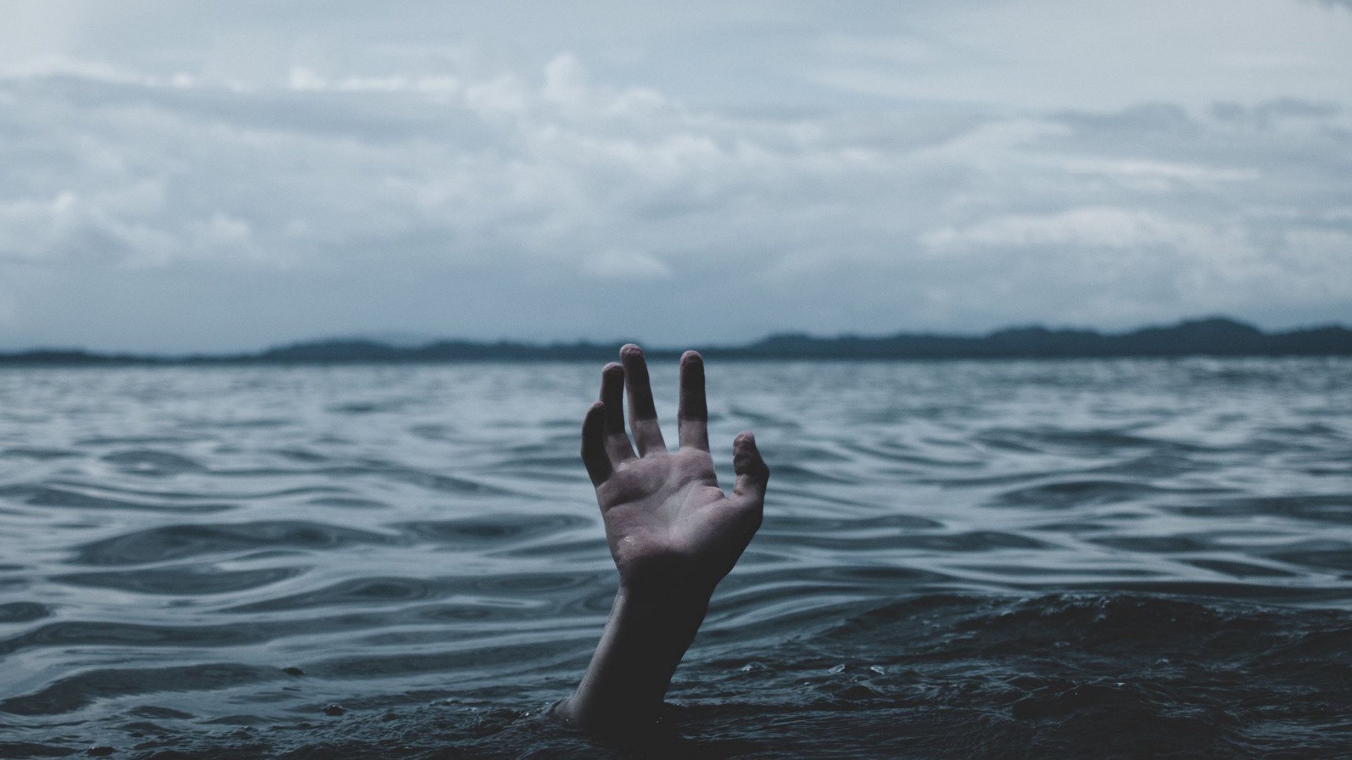 Отзывы клиентов