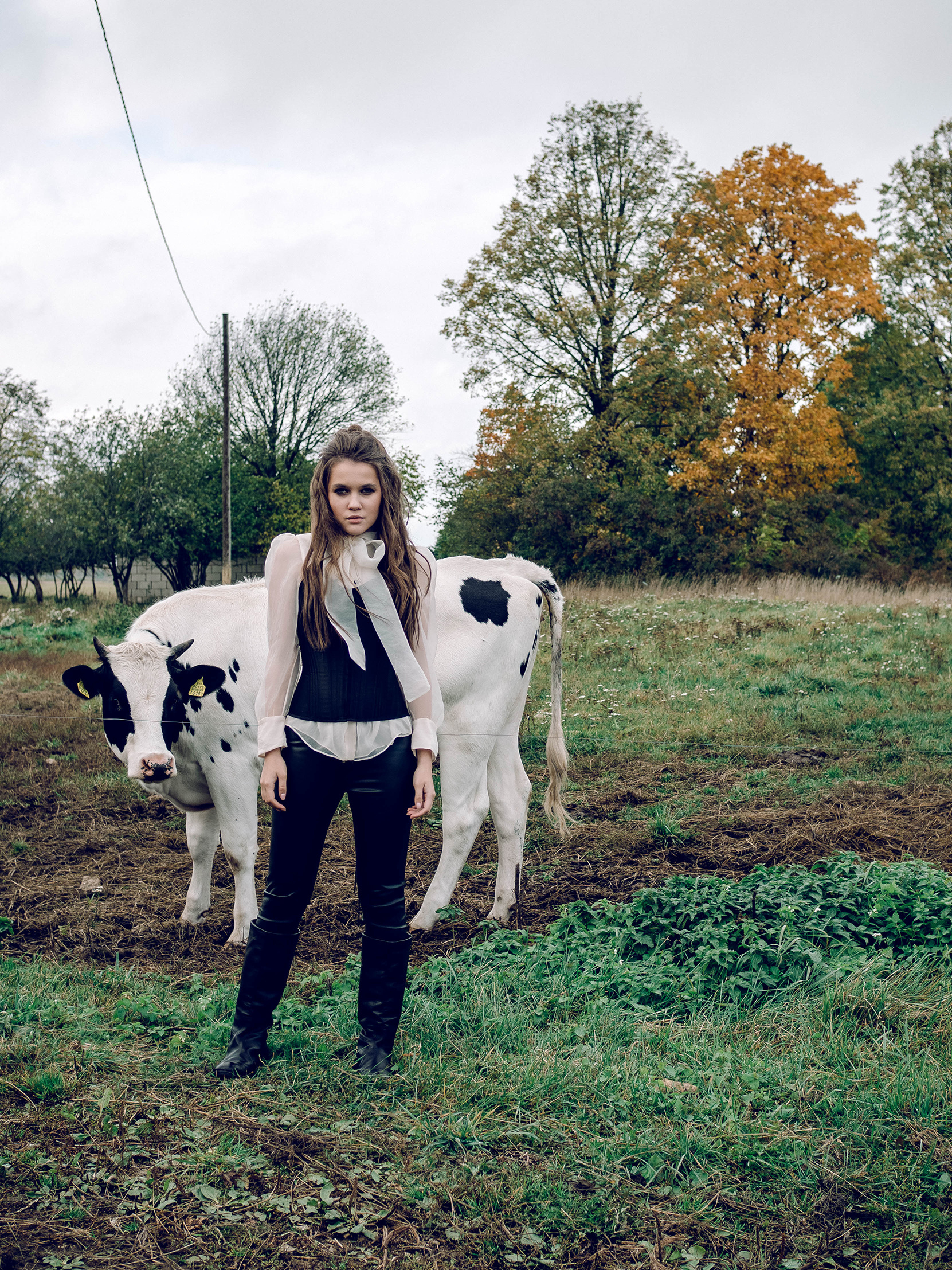 L. @dariazphoto свадебный фотограф