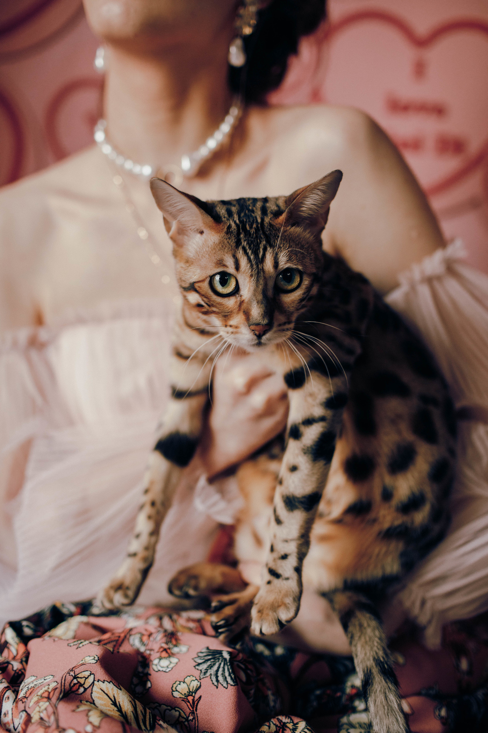 5 аксессуаров, которые сделают образ городской невесты стильным. @dariazphoto свадебный фотограф