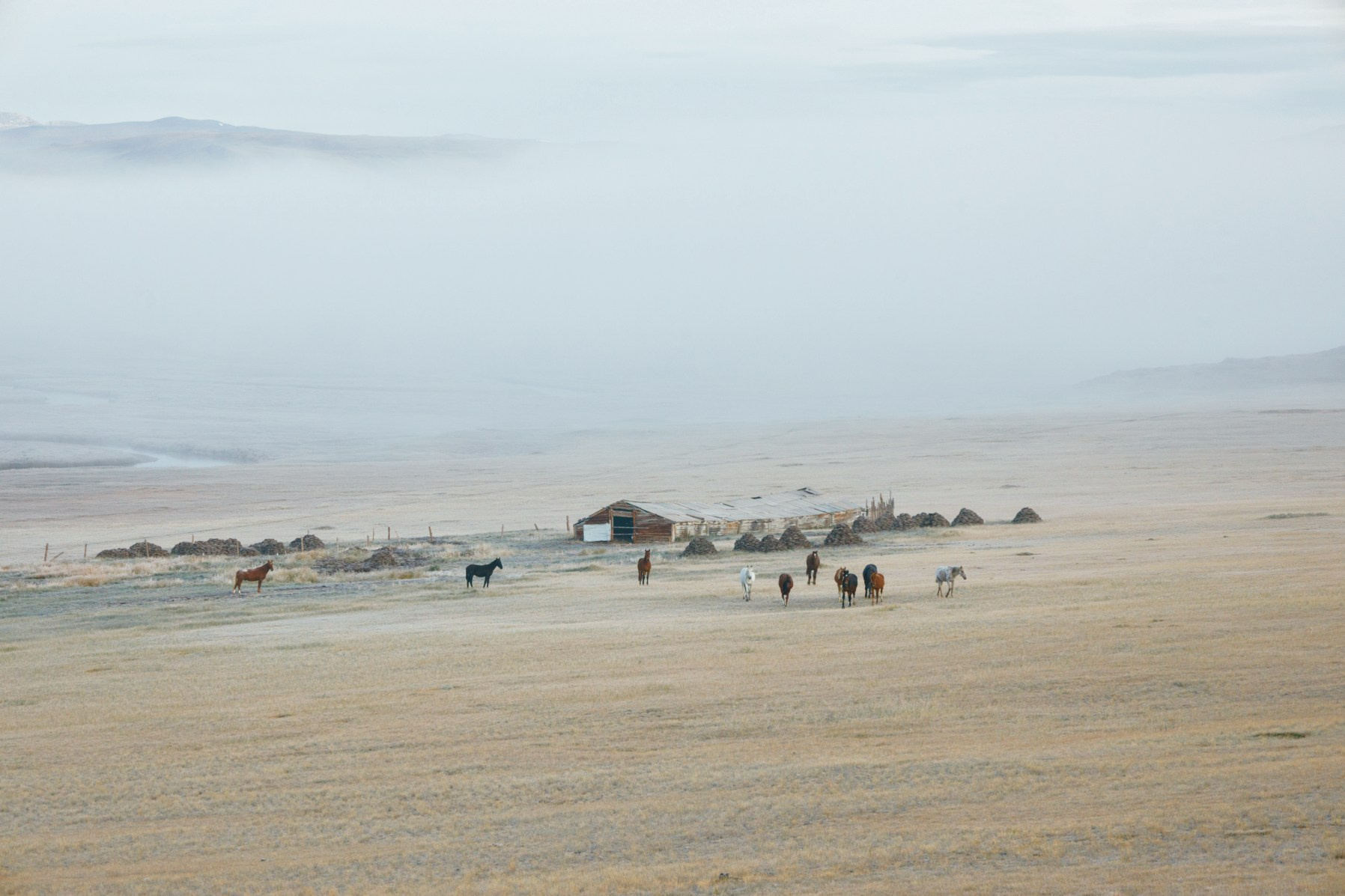 Фотохудожник Андрей Лагунов Пермь