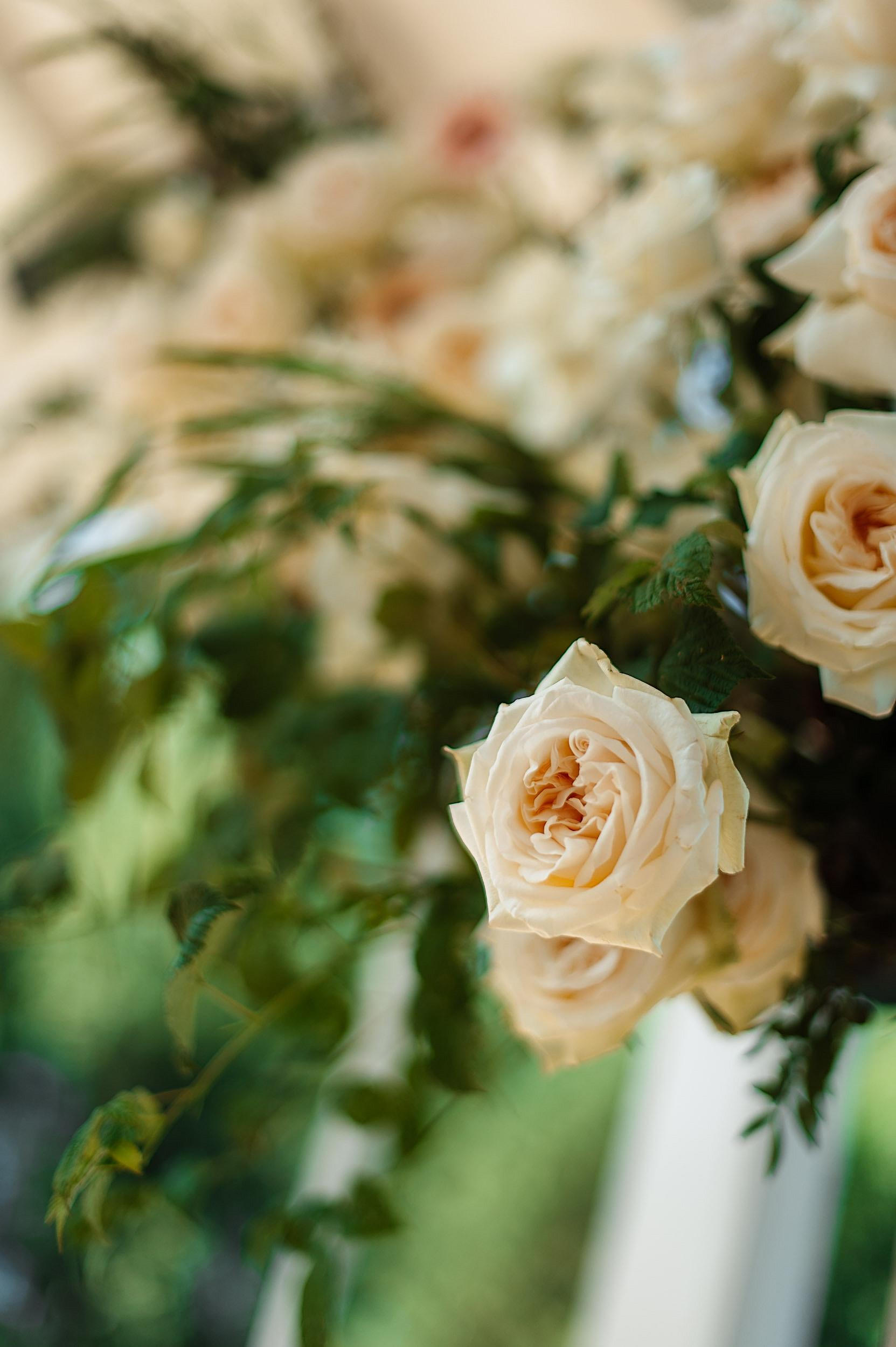 Цены. Каталоги, сайты, предметка. Фотограф Александр Фомин