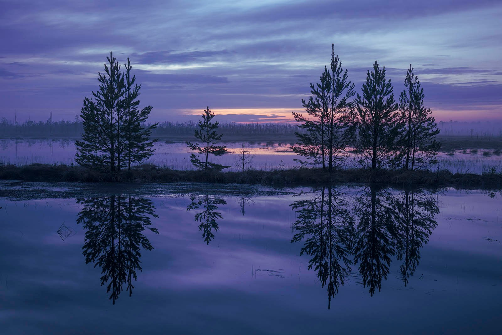 Портфолио. Фотограф Татьяна Борисова