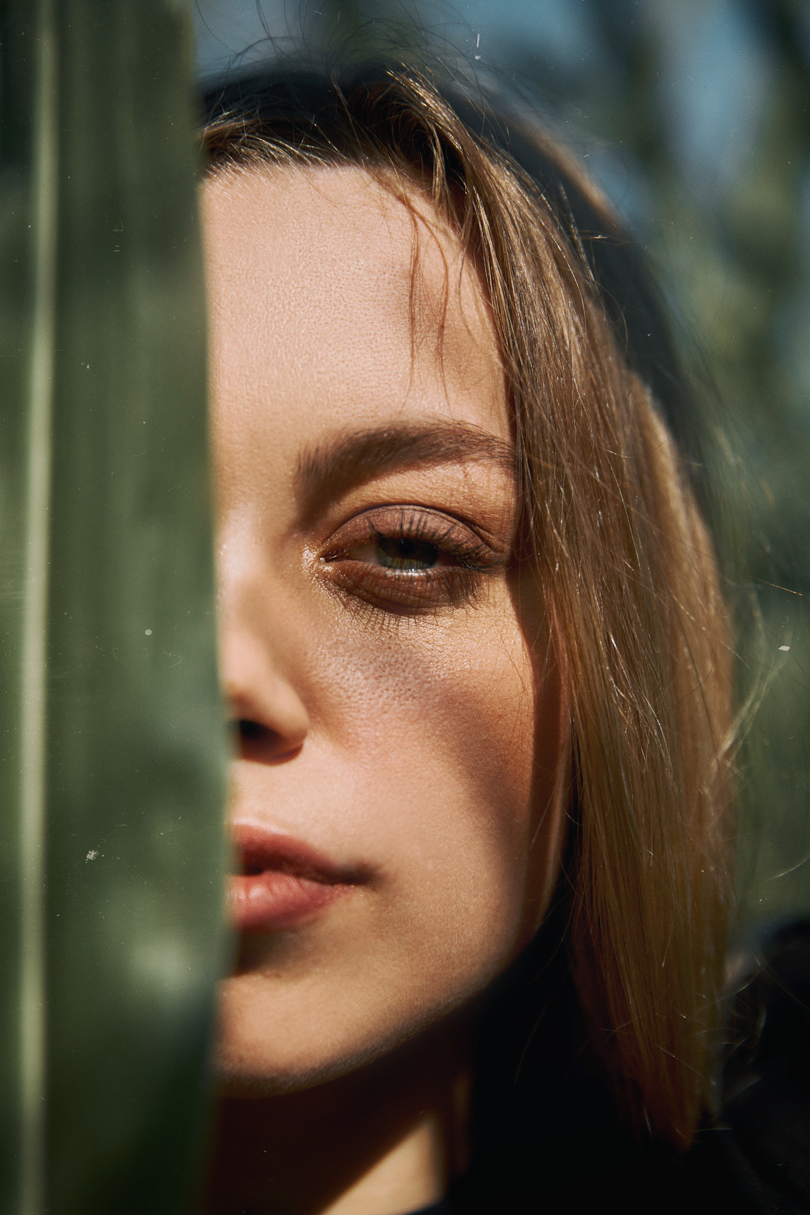 В кукурузе