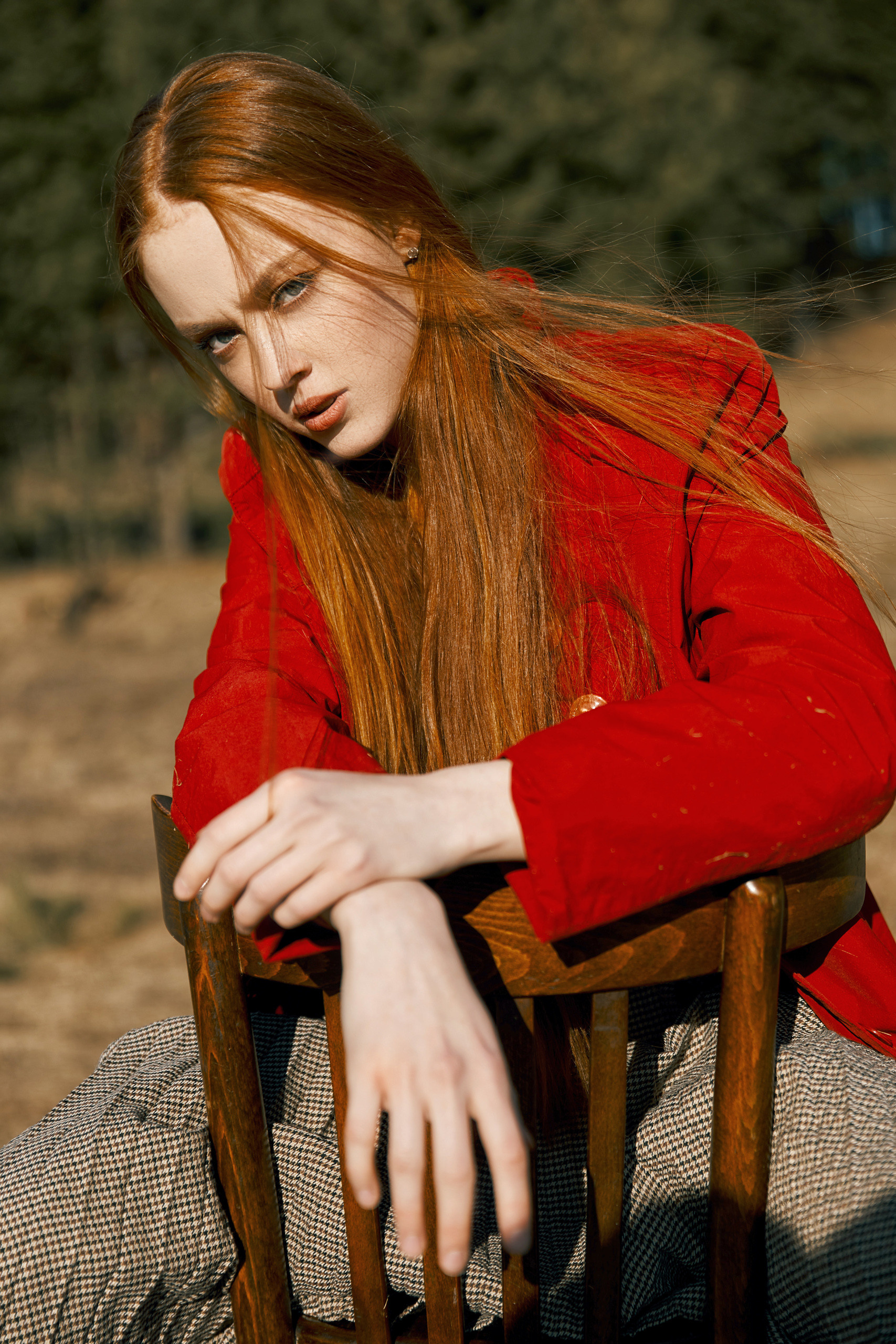 Лес, поле, стул