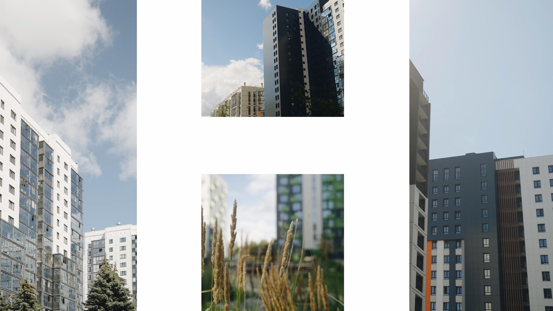 Реклама. Видеограф Денис Яковлев