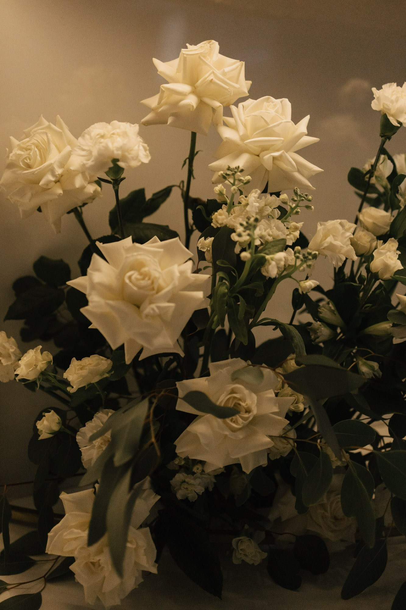 Профессиональная видео и фото съёмка в Калуге и области