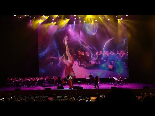 РЕПОРТАЖ МЕРОПРИЯТИЙ. Дарья Бухреева — фотограф, видеограф и фототерапевт. Москва и мир