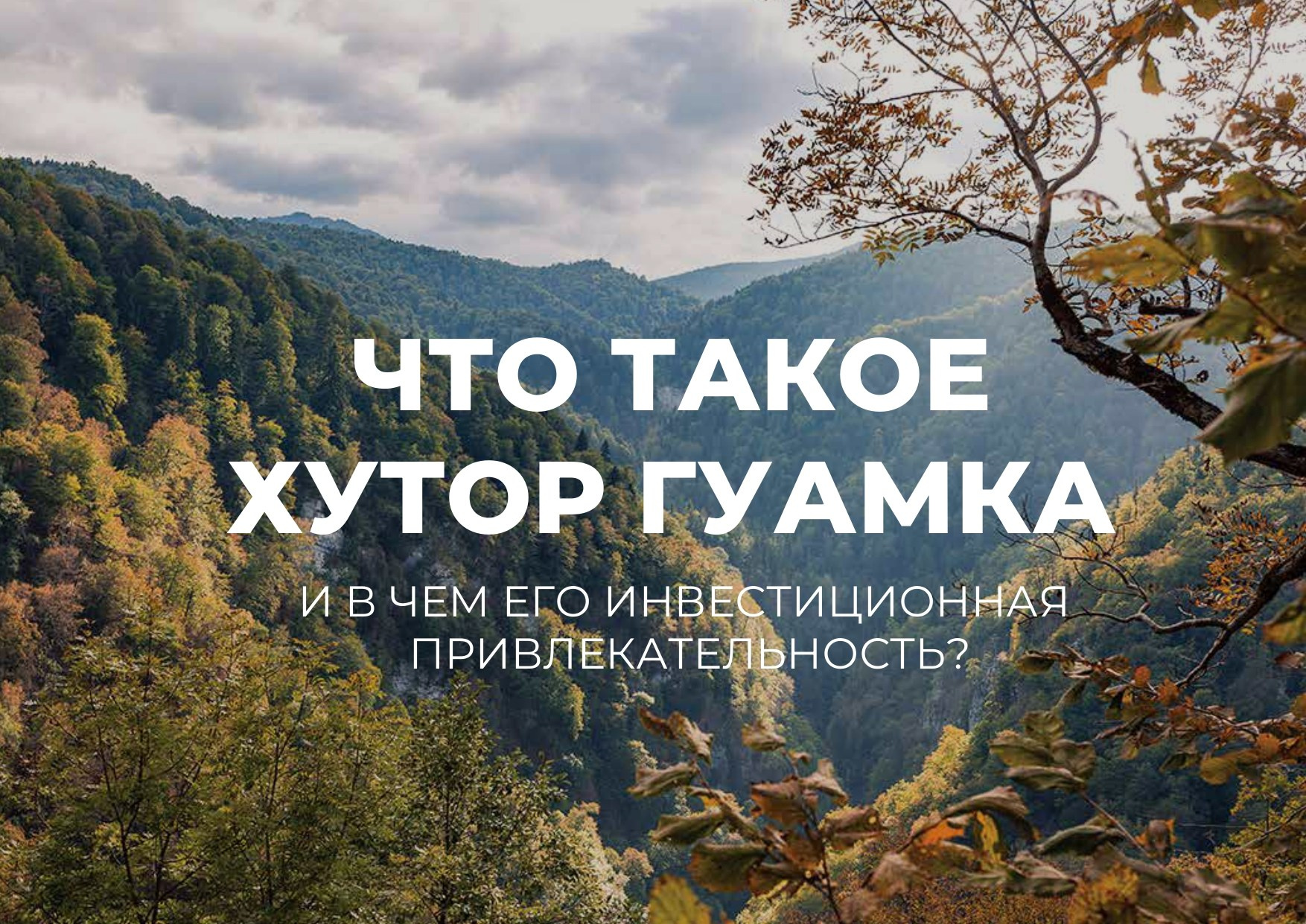 Гуамка земельный массив 1, 4 Га. Инвестиционный консалтинг недвижимость