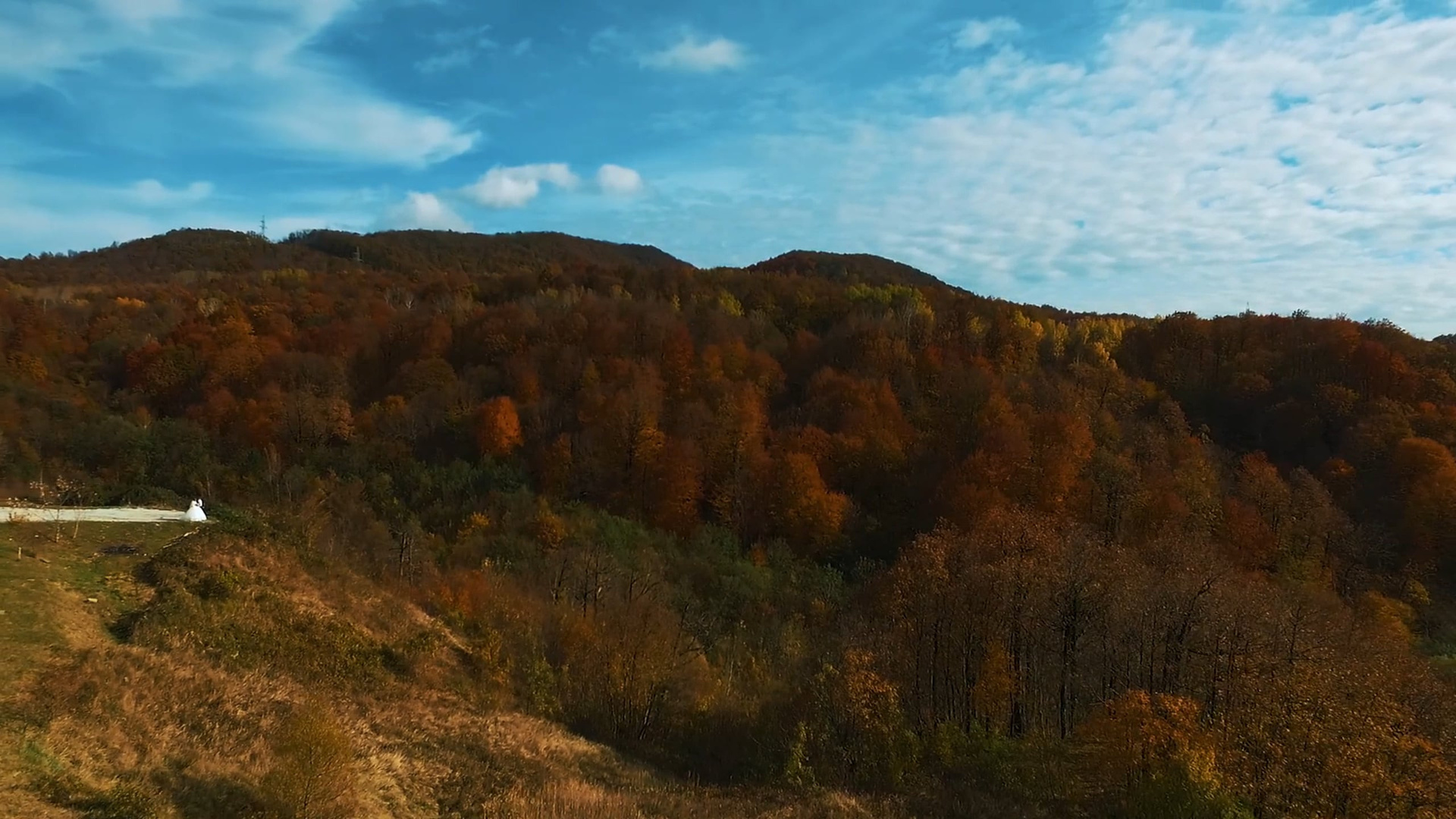 Ролики свадебные. Свадебная видеосъёмка Роман Иванов