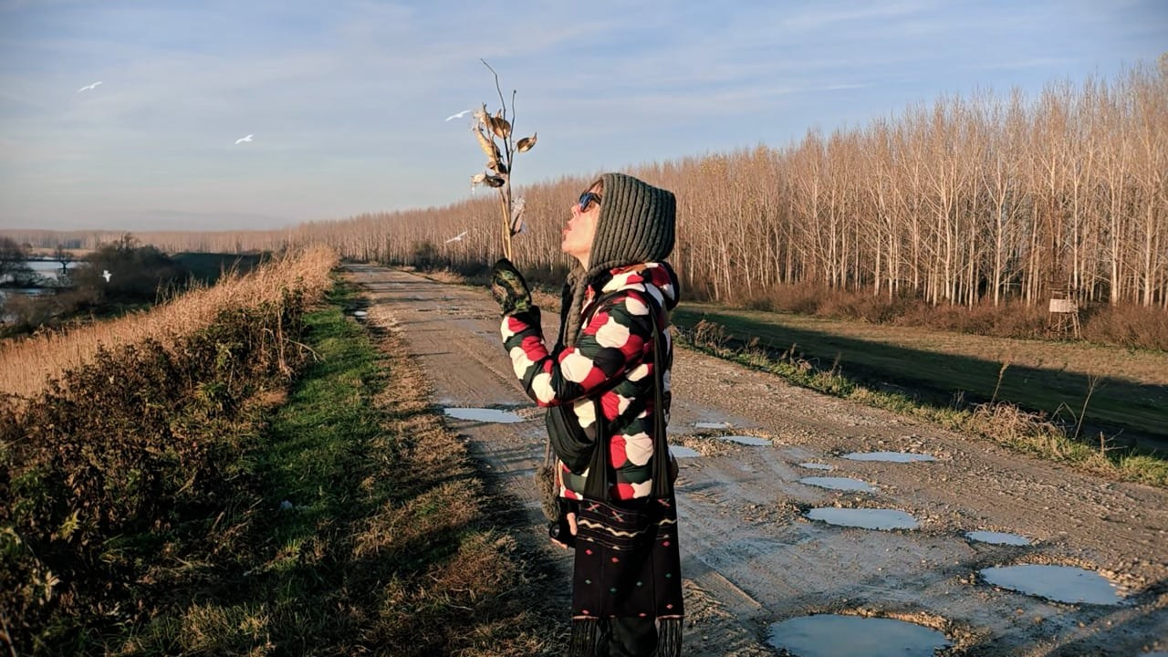 Наталия Бабинцева — ВЫДЕЛЕННАЯ ТЕРРИТОРИЯ: прогулки с N