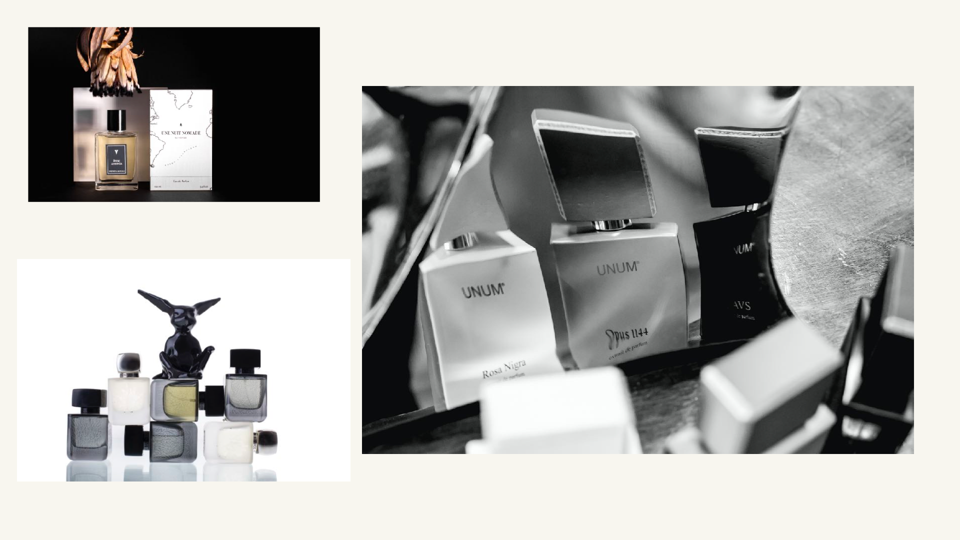 PHOTOGRAPHY. TAMARA BAZHMINA