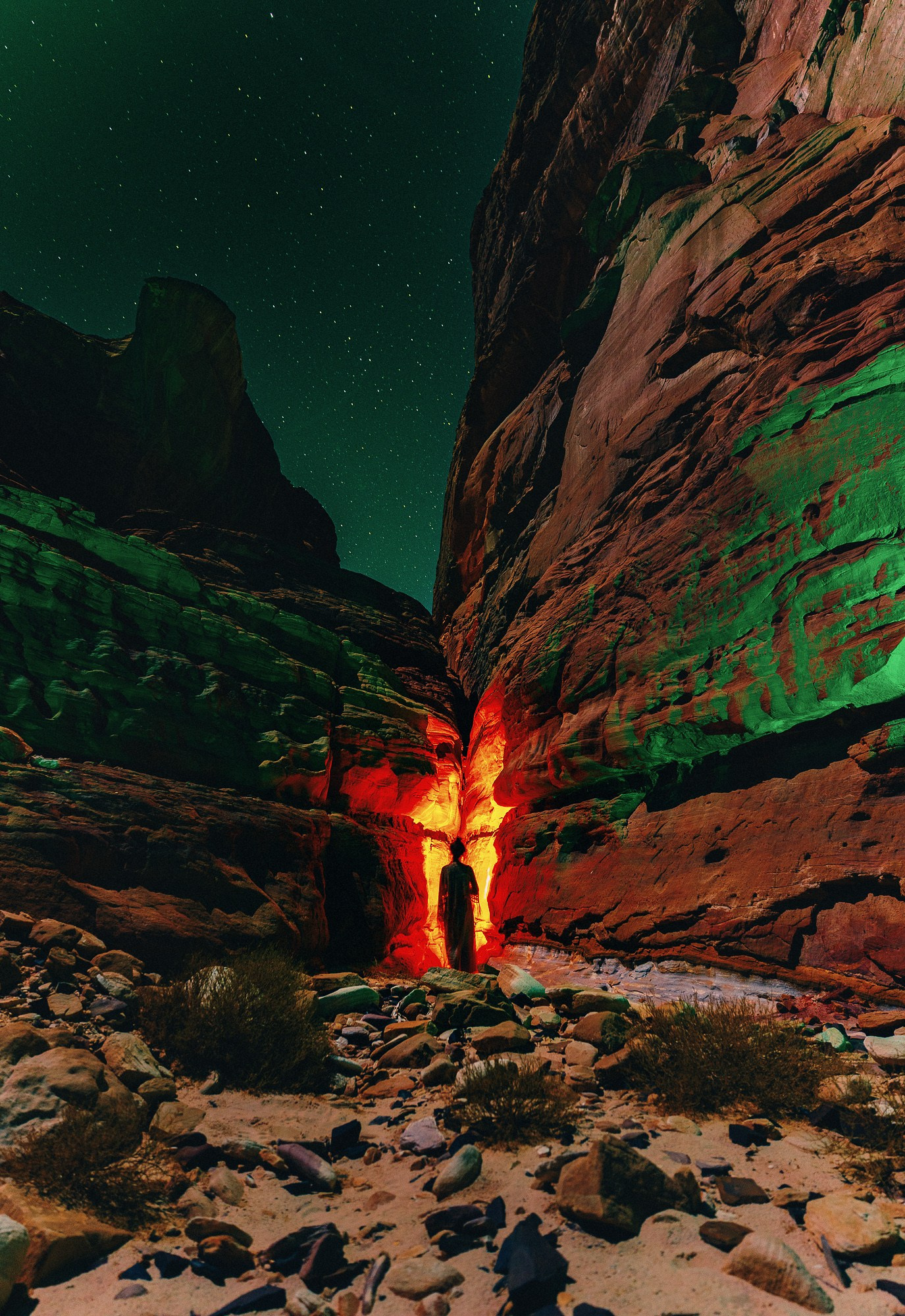 СИЛУЭТЫ. Visual artist Daniil Kontorovich