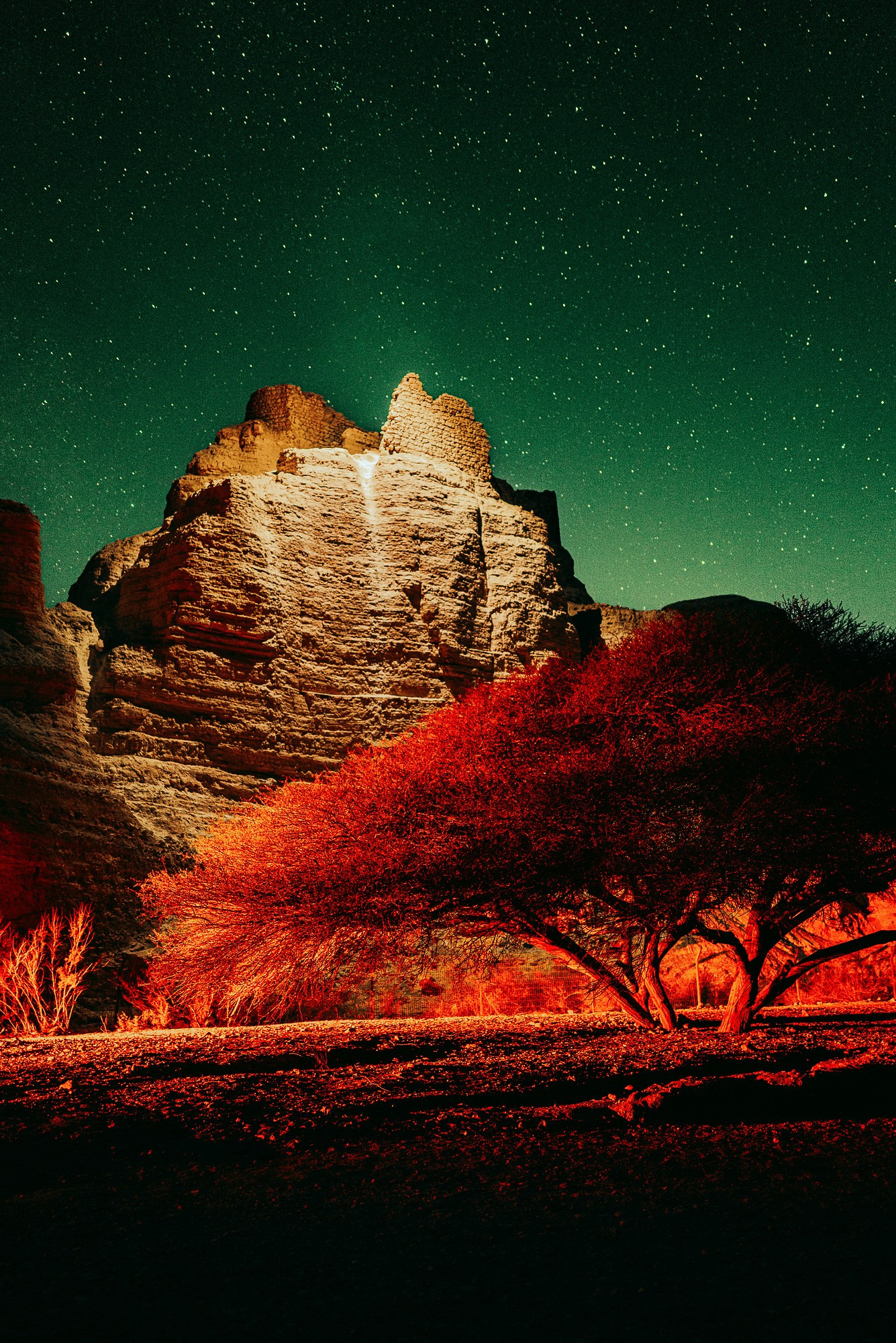 СВЕТ НОЧИ. Visual artist Daniil Kontorovich