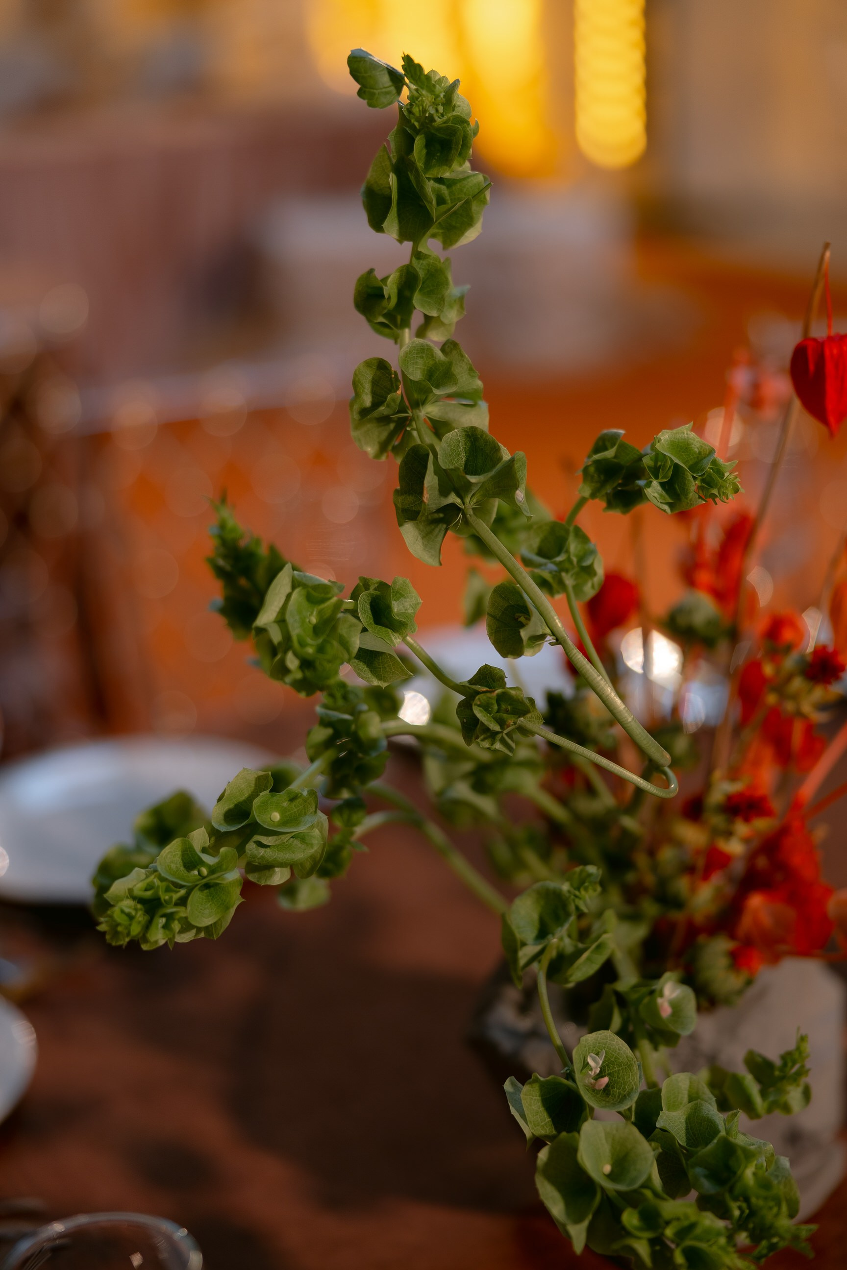 Софья & Виктор. Yura Rush Свадебный фотограф Тюмень