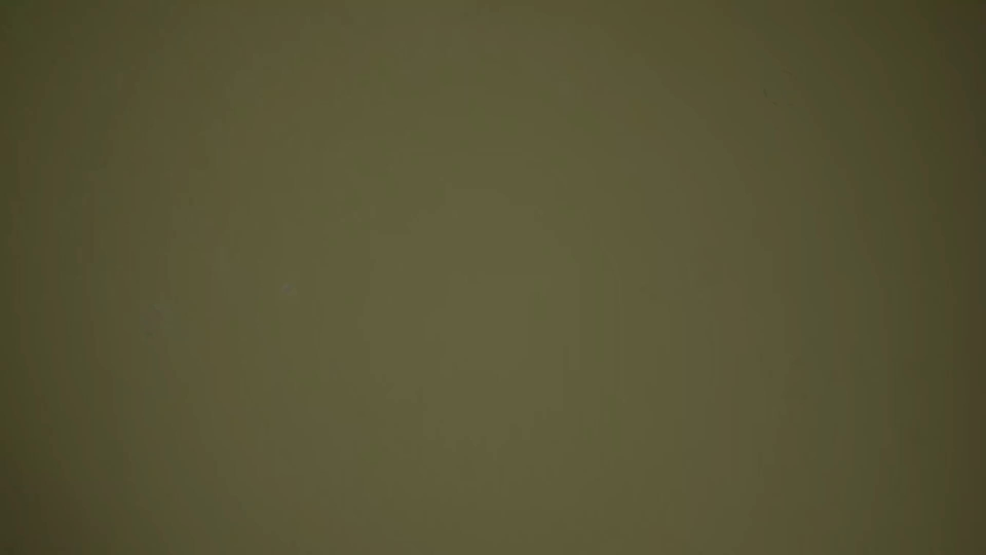 Time To Grow. Студия рекламной и предметной съемки товаров WELKO Studio