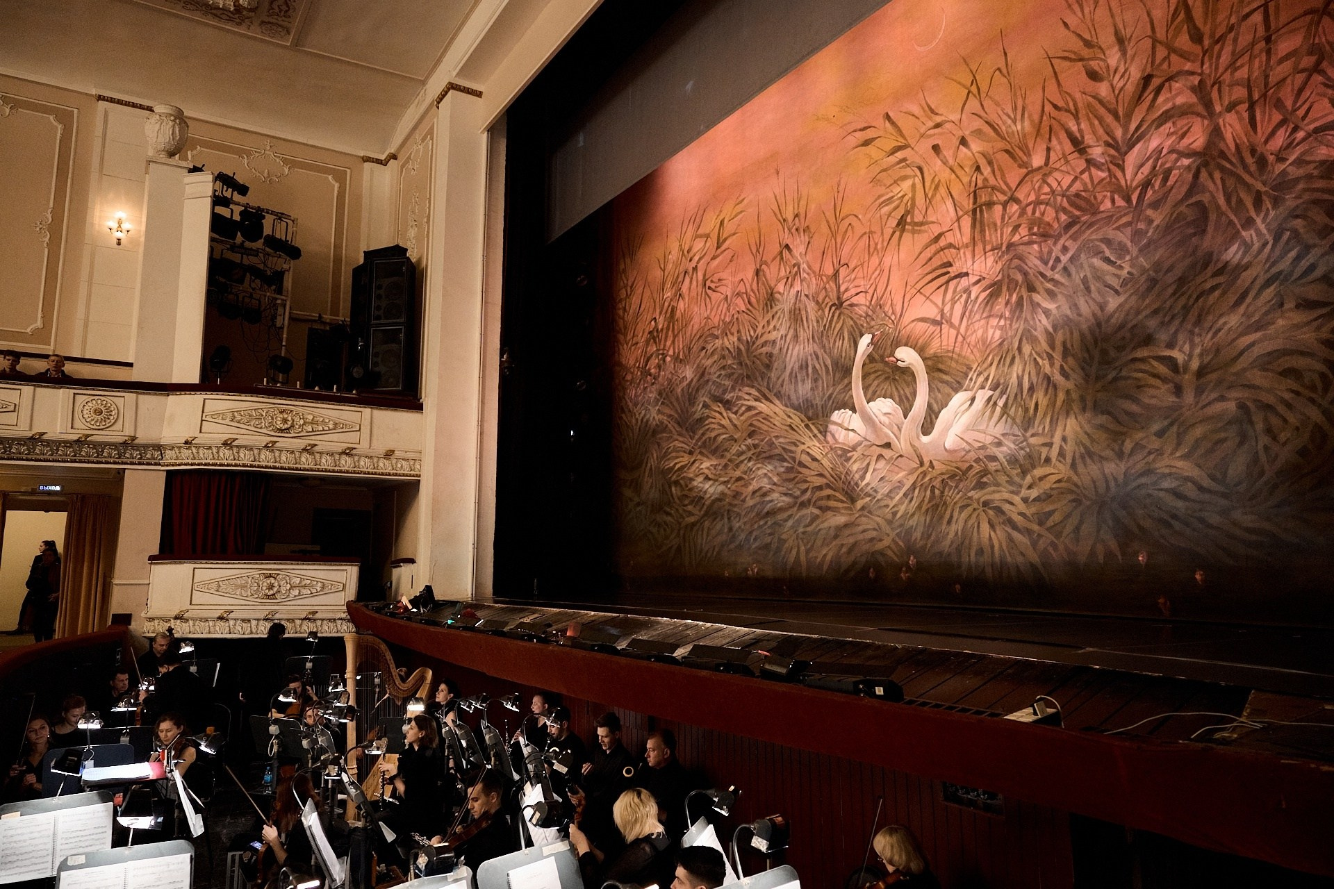 Лебединое озеро. Нижегородского театра оперы и балета им. А. С. Пушкина. История занавеса. Превращаем идею в технологию