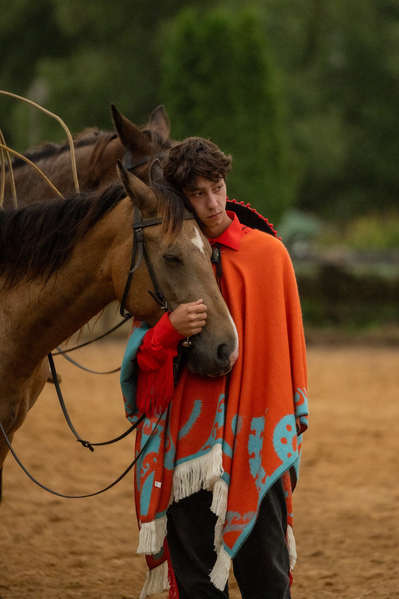 Отзывы. Фотограф-анималист Юлия Удовенко