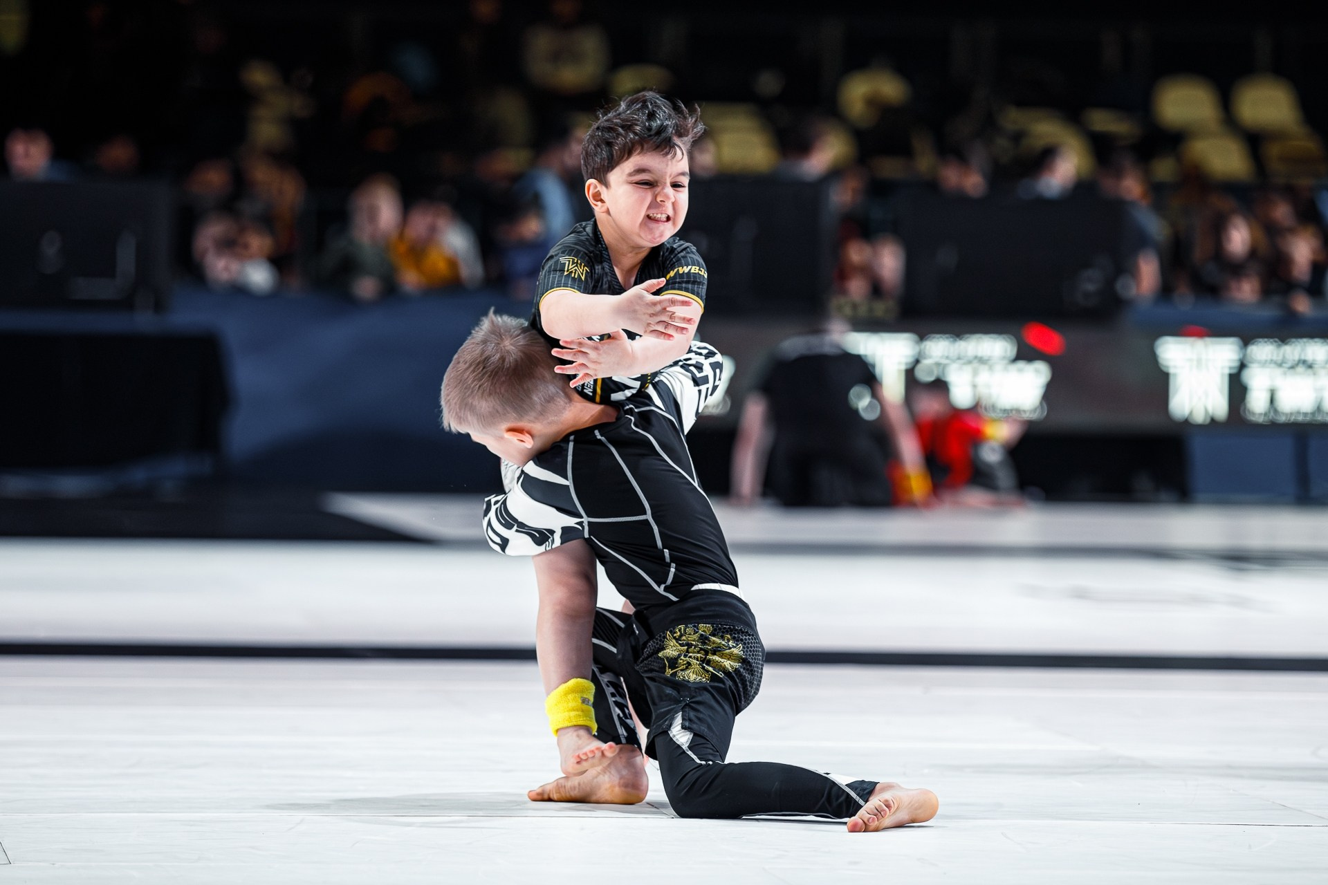 TWW BJJ WORLD OPEN CHAMPIONSHIP 2024