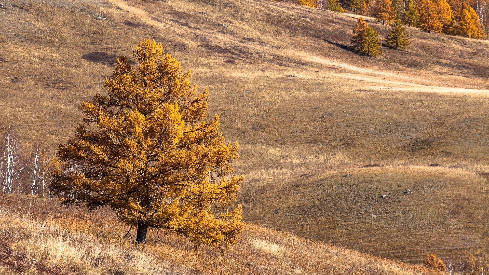 Фотограф Иван Губанов