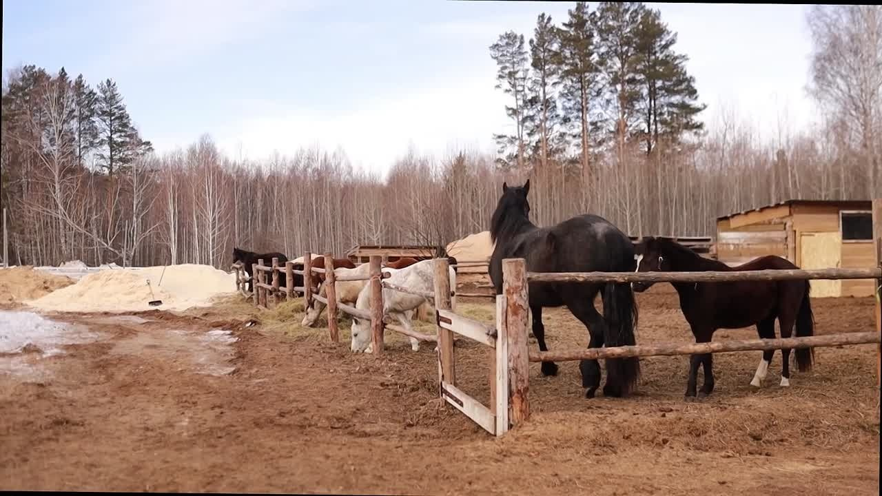 Видео. Ксения Воробьёва | Детский семейный фотограф и видеограф в Екатеринбурге