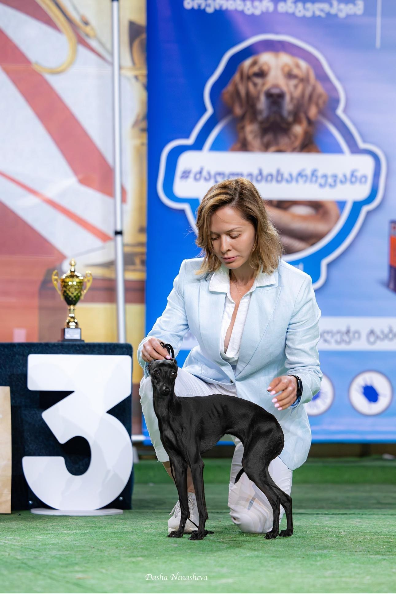 Профессиональный питомник левреток РКФ/FCI ASTI SAPPHIRE 💎 Сочи|Санкт-Петербург