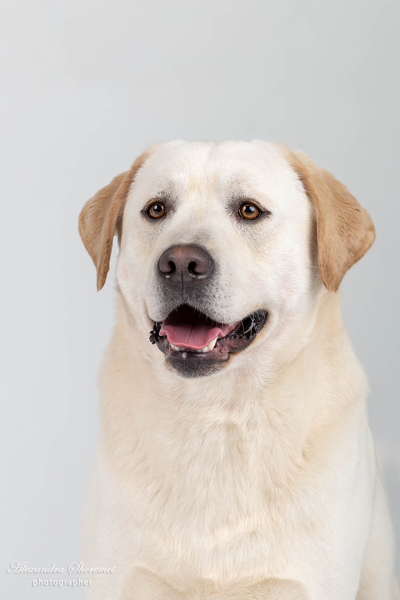 Студия. Портреты