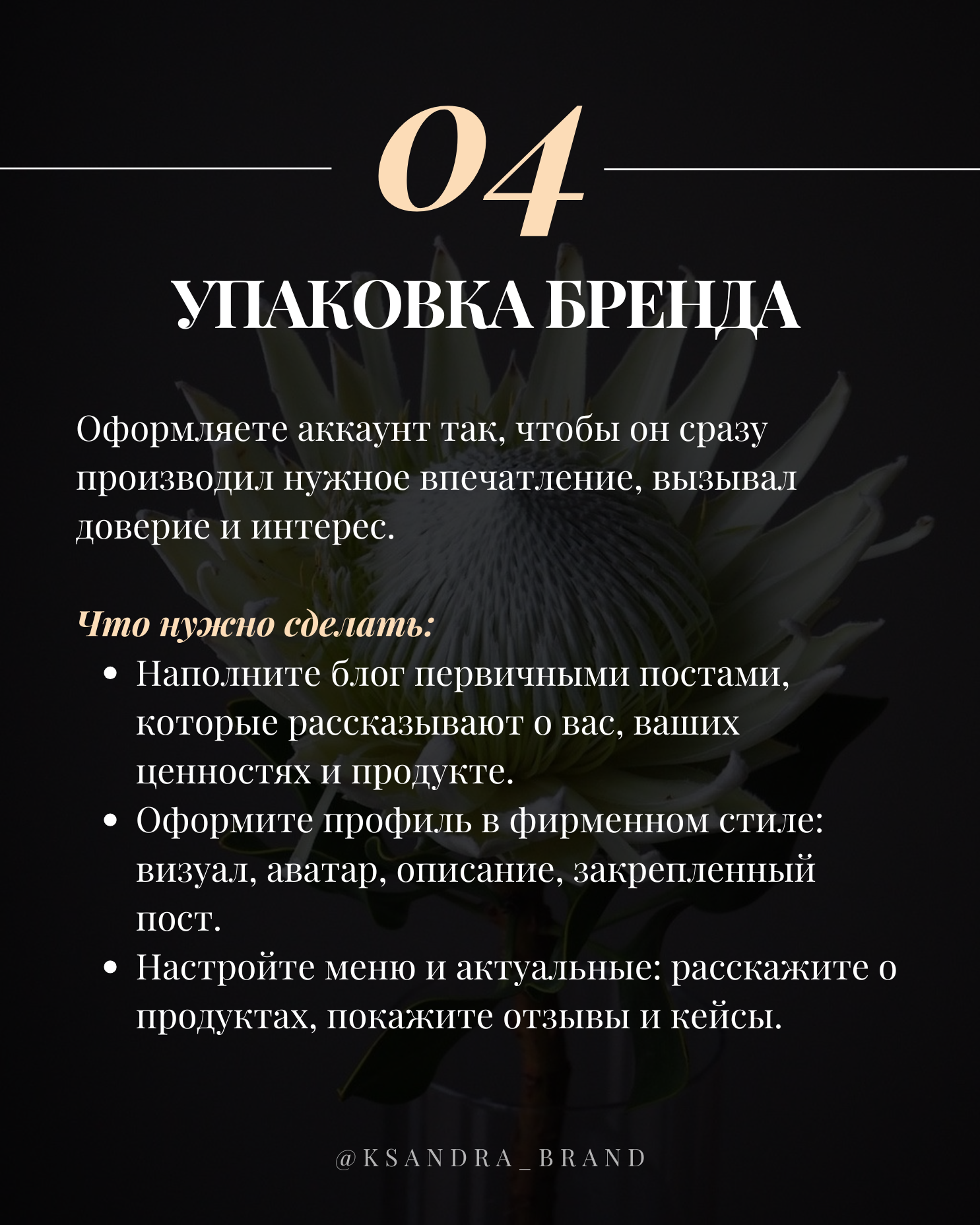 Практическое руководство: «Создание стратегии продвижения в соцсетях на 2025 год