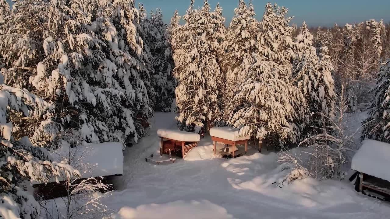 Видео. Фотограф Татьяна Борисова