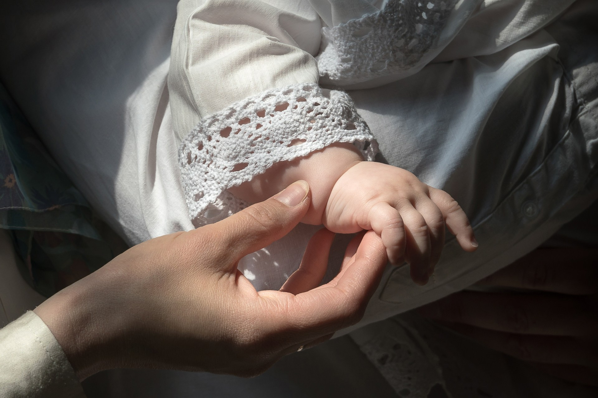 Фотовыставка «В ожидании Рождества»