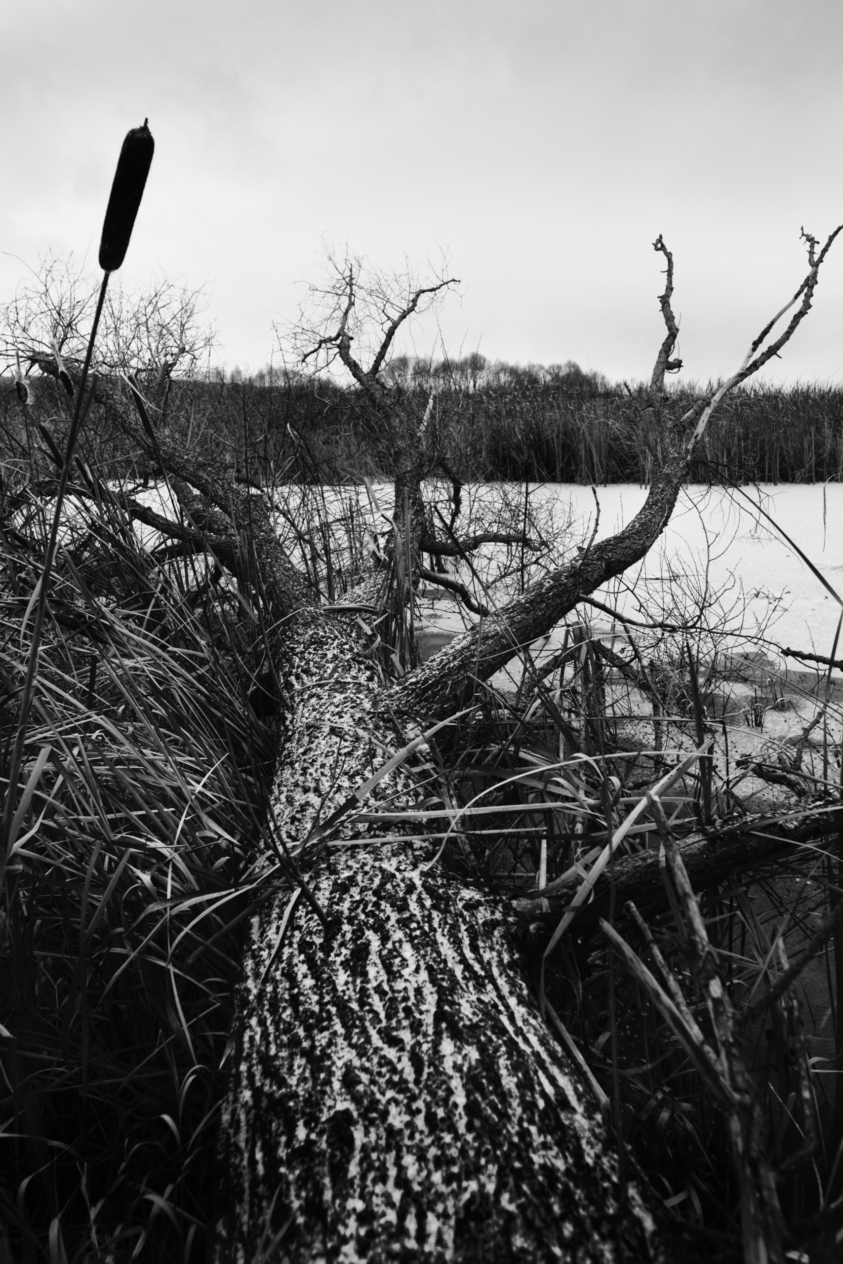 Random places. Moscow street photography workshops and photo tourism