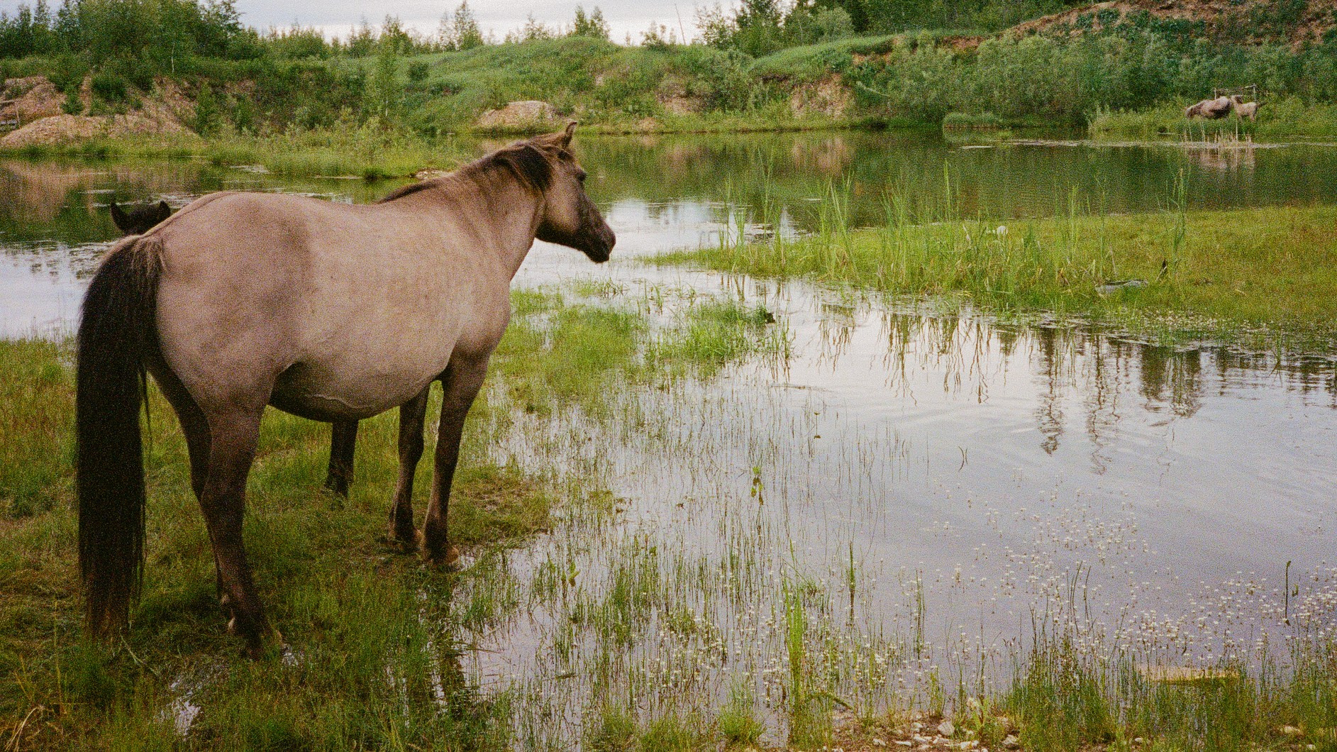 Документальный фотограф Роман Золотков. ZOLOTKOV — Барбер в Санкт-Петербурге Роман Золотков