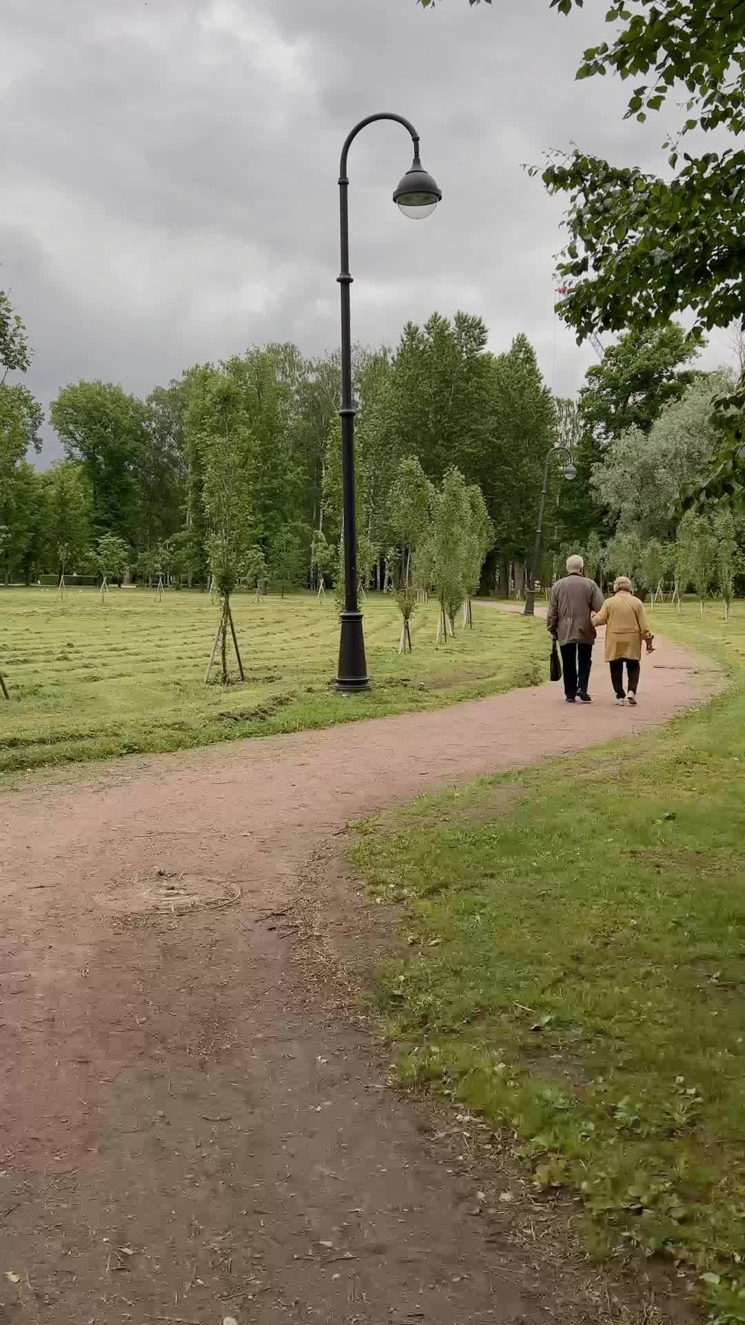 Все пресеты VN | Эффект плёнки. Кинематографичный фотограф, видеограф Лина Плешакова, Санкт-Петербург