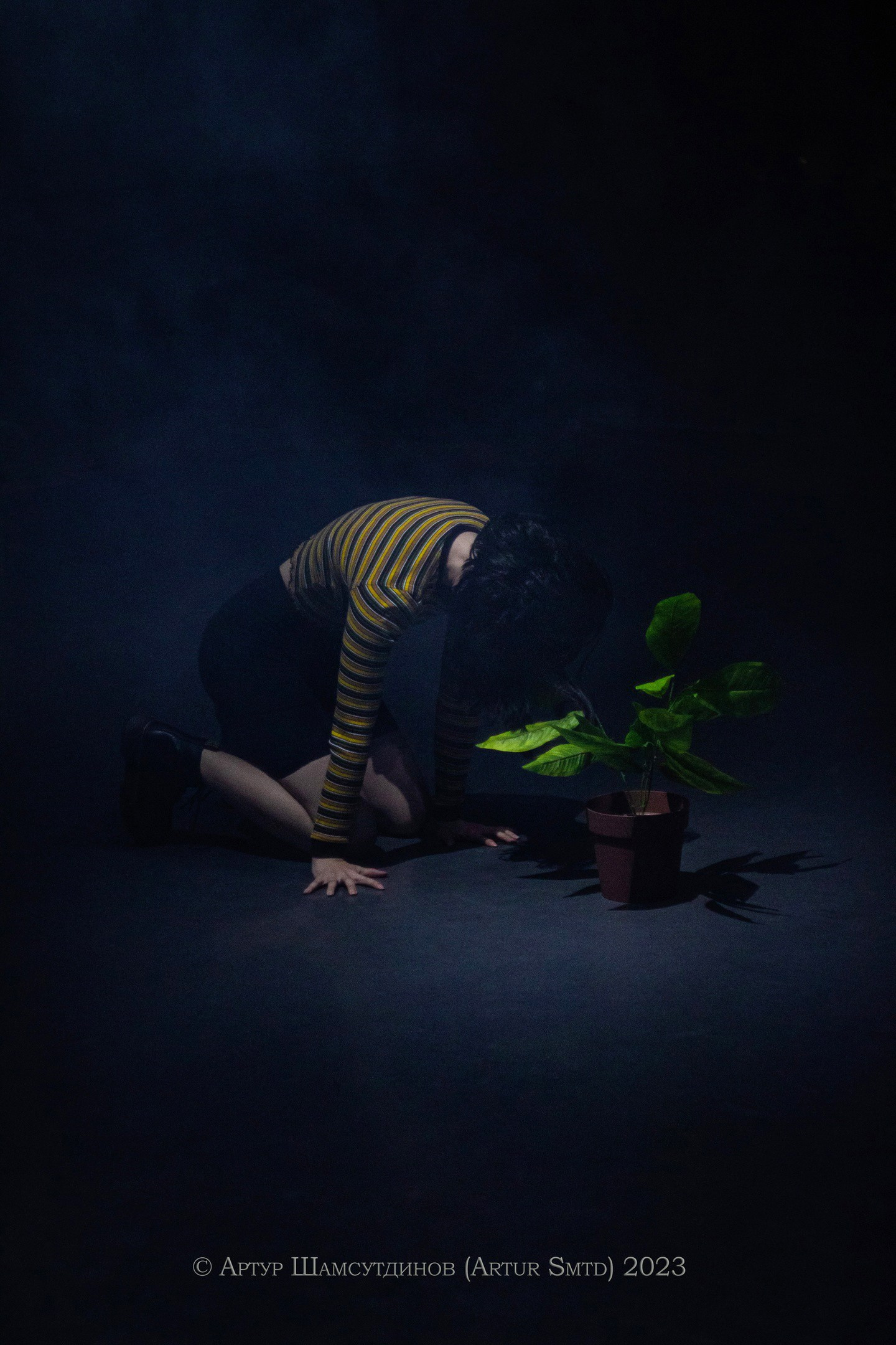 Фотограф из Новосибирска Артур Шамсутдинов