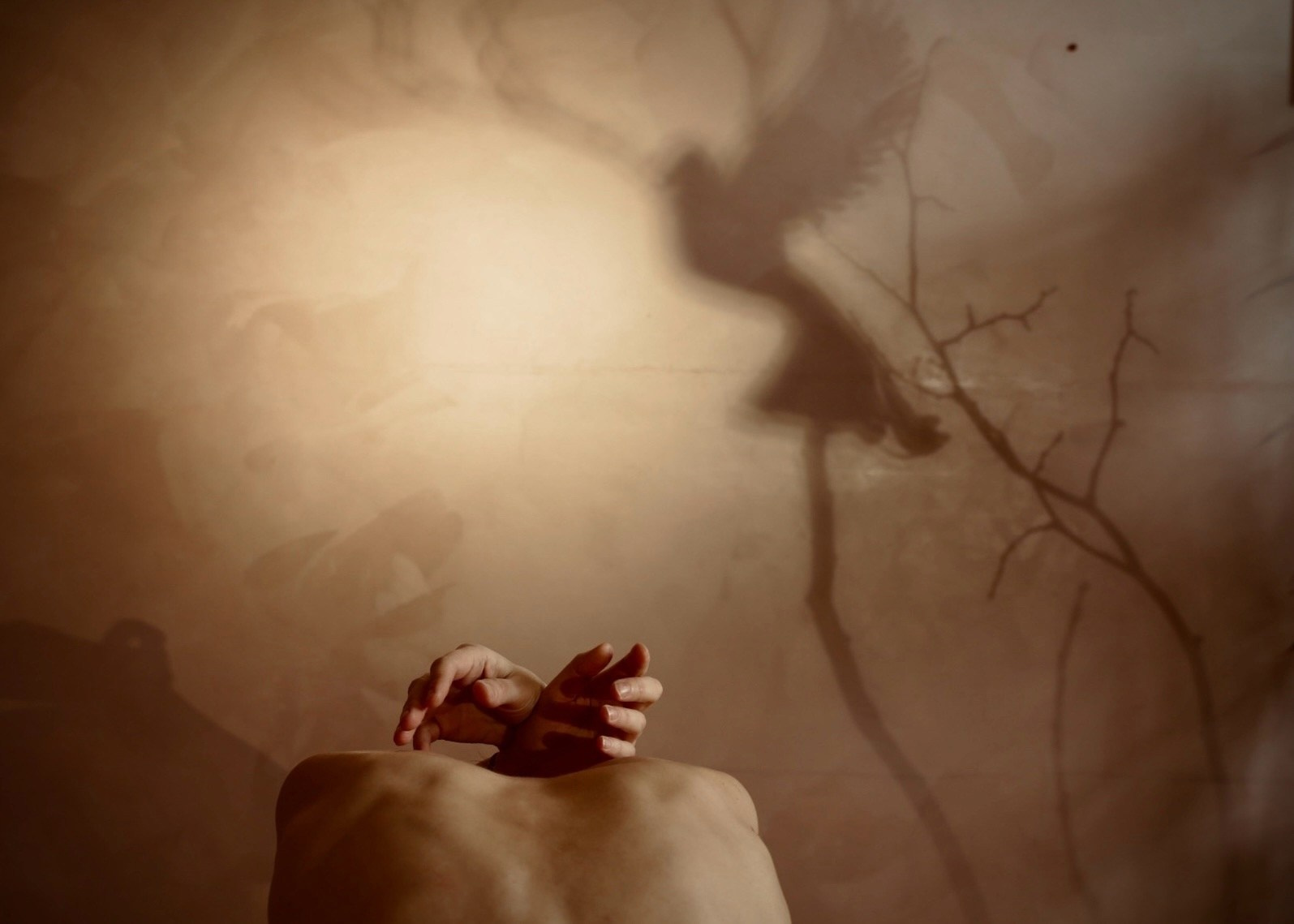 Елена Зайлер