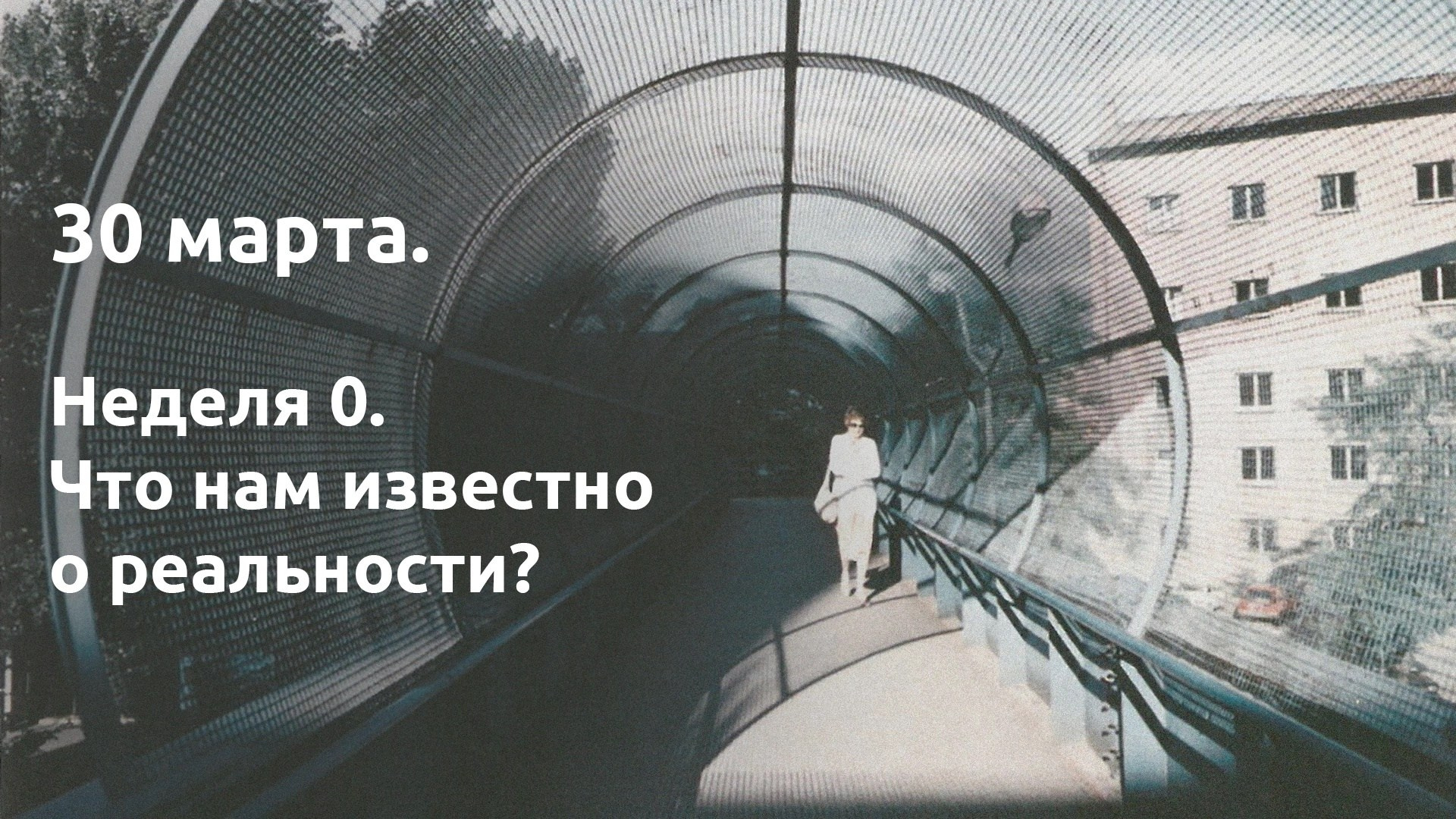 Неделя ноль. …