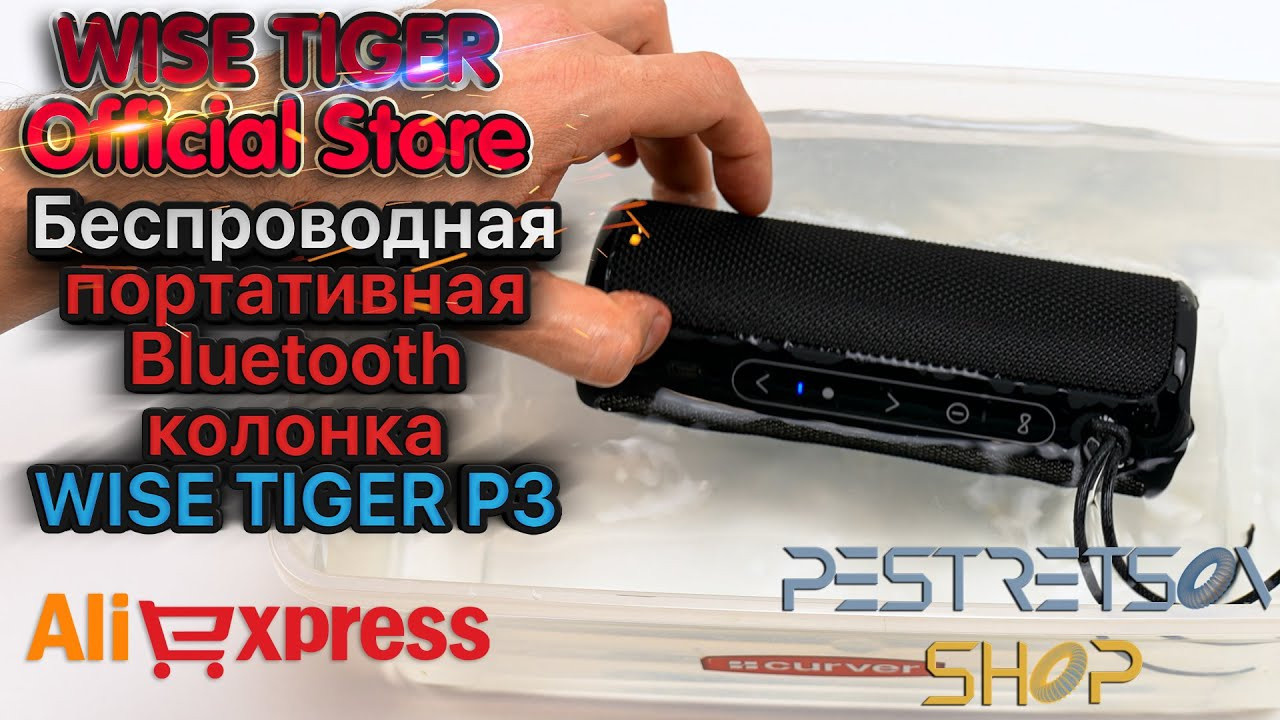 Беспроводная портативная Bluetooth колонка WISE TIGER P3. Фотограф — видеограф в Москве Дмитрий Менделеев