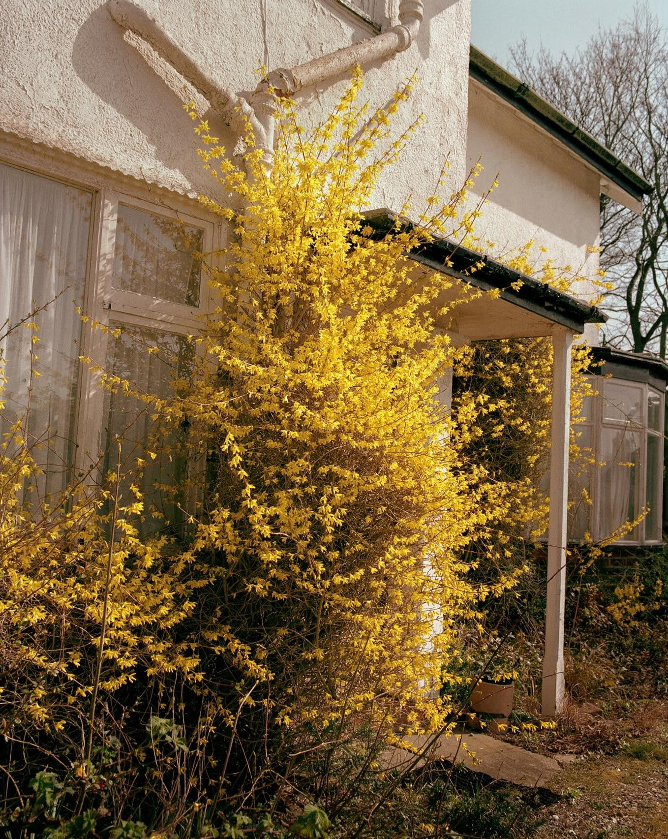 Книга Макса Меховски (Max Miechowski) «Land Loss». Private image